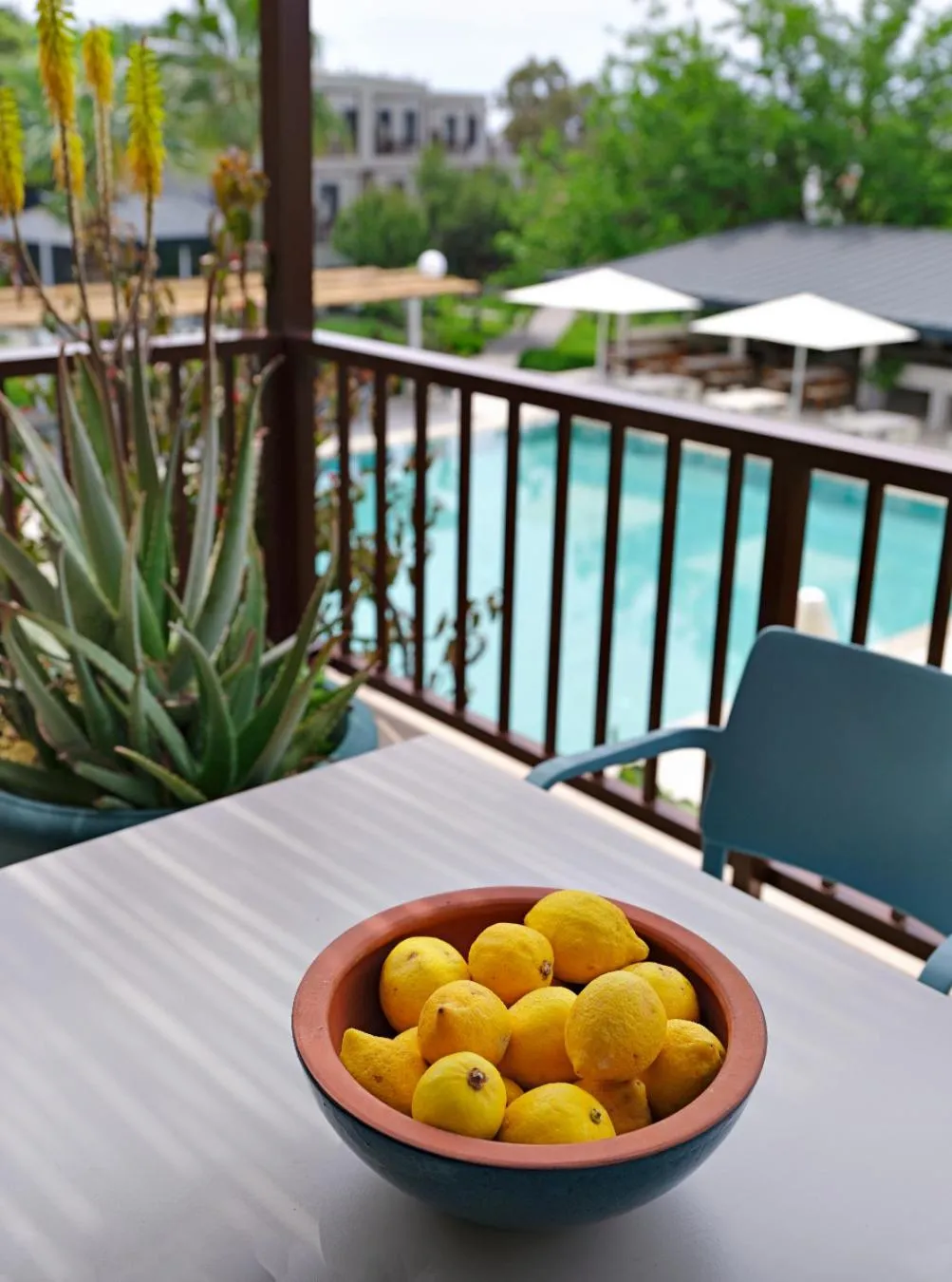 Balcony/Terrace in Dorman Suites