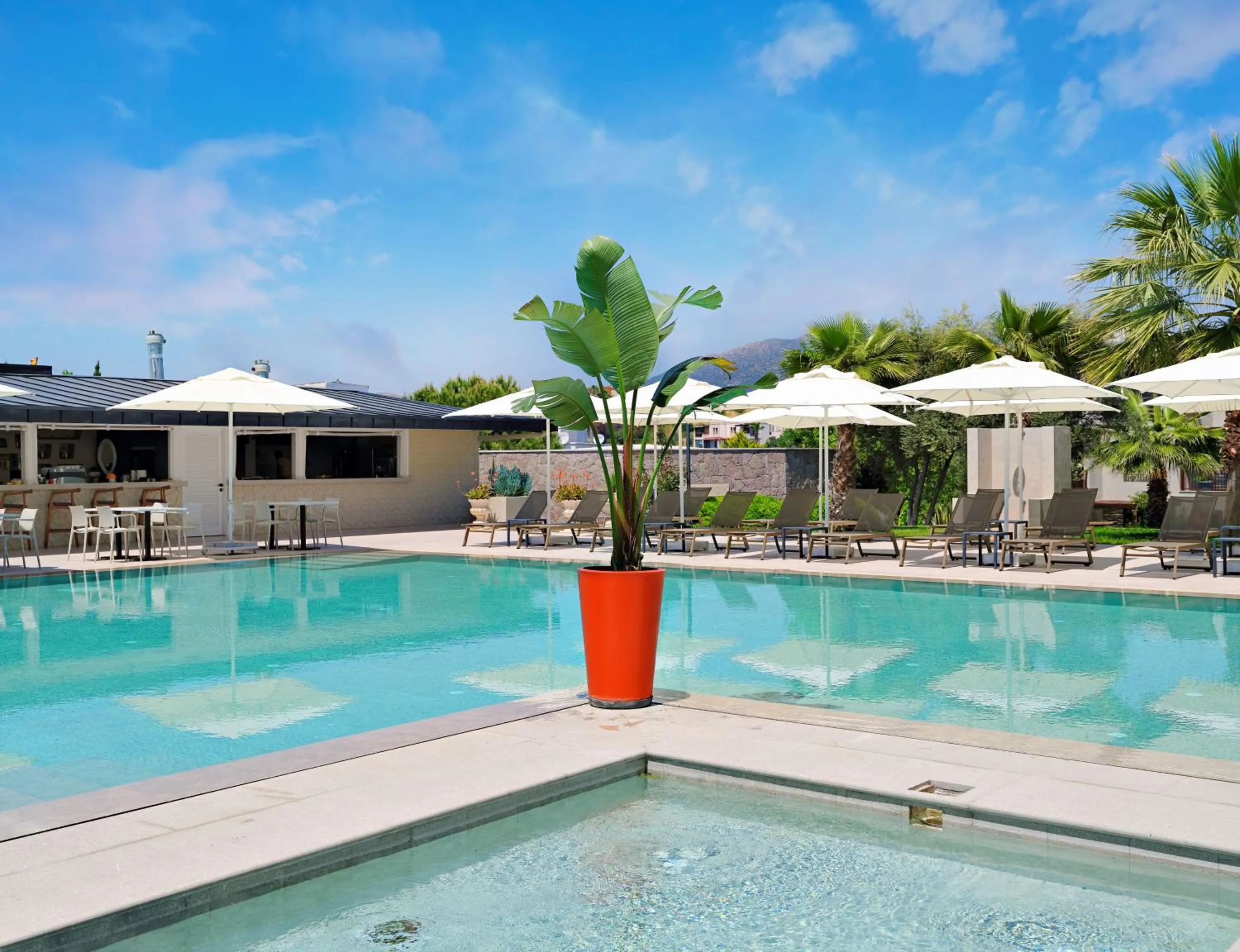 Pool view in Dorman Suites