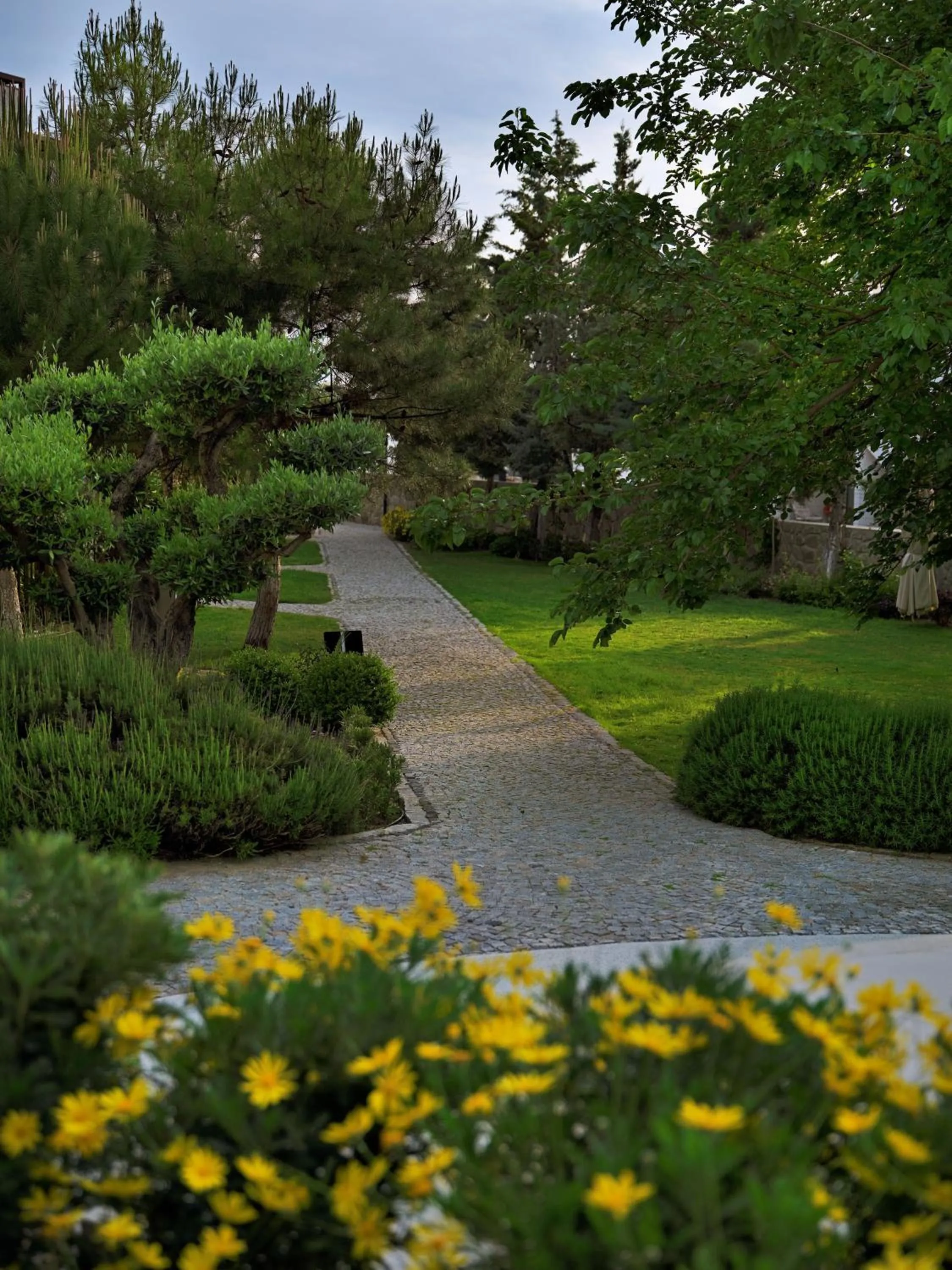 Natural landscape in Dorman Suites