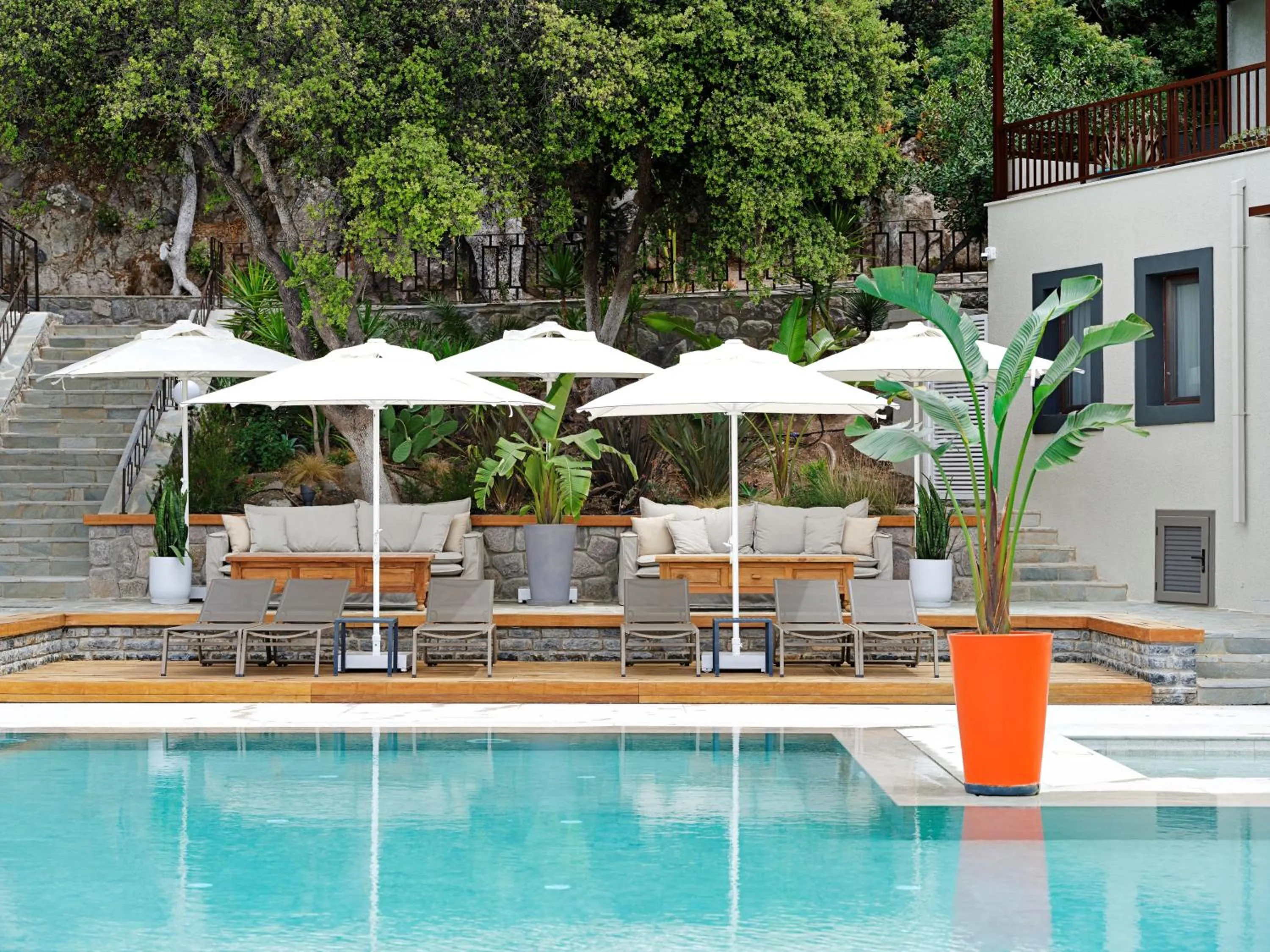 Swimming pool in Dorman Suites