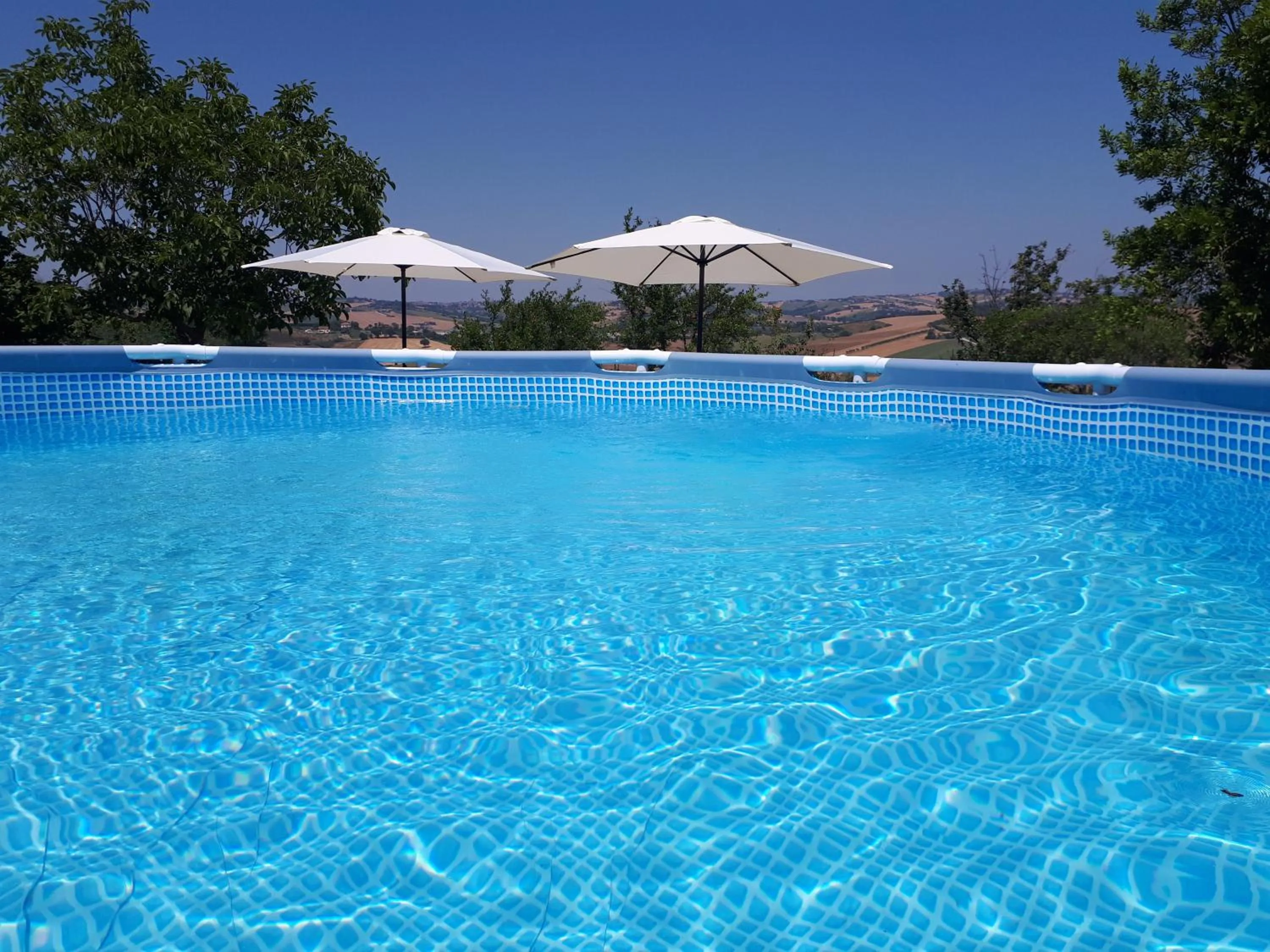 Swimming pool in B&B I Pini Di Storaco