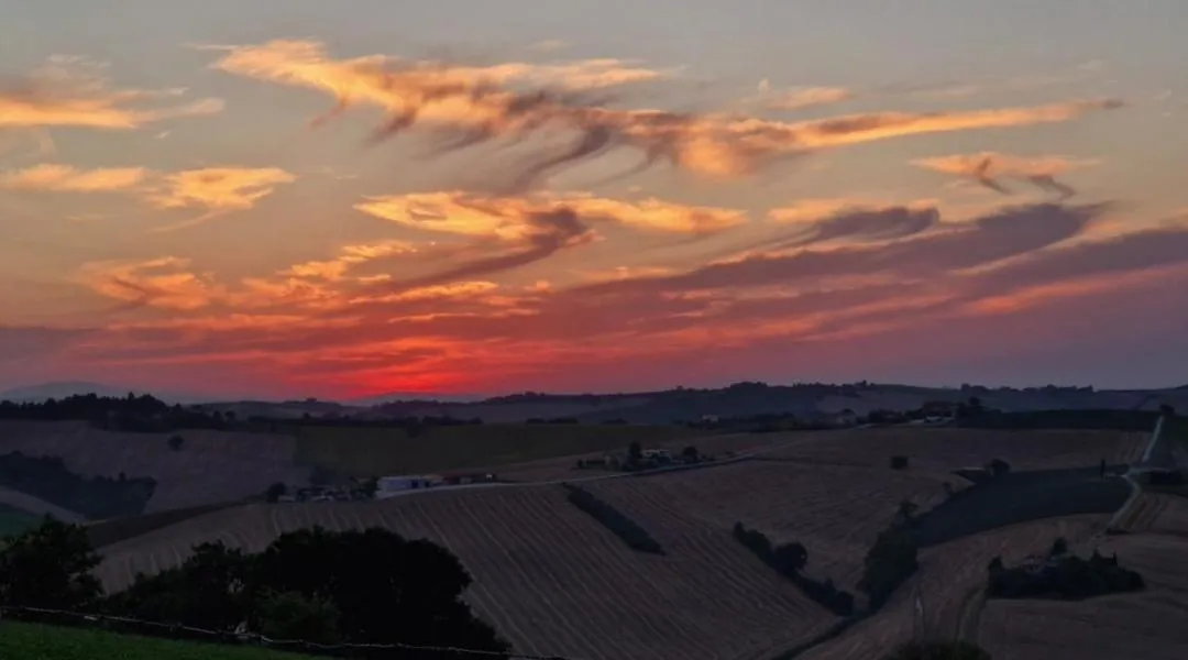 Garden view in B&B I Pini Di Storaco