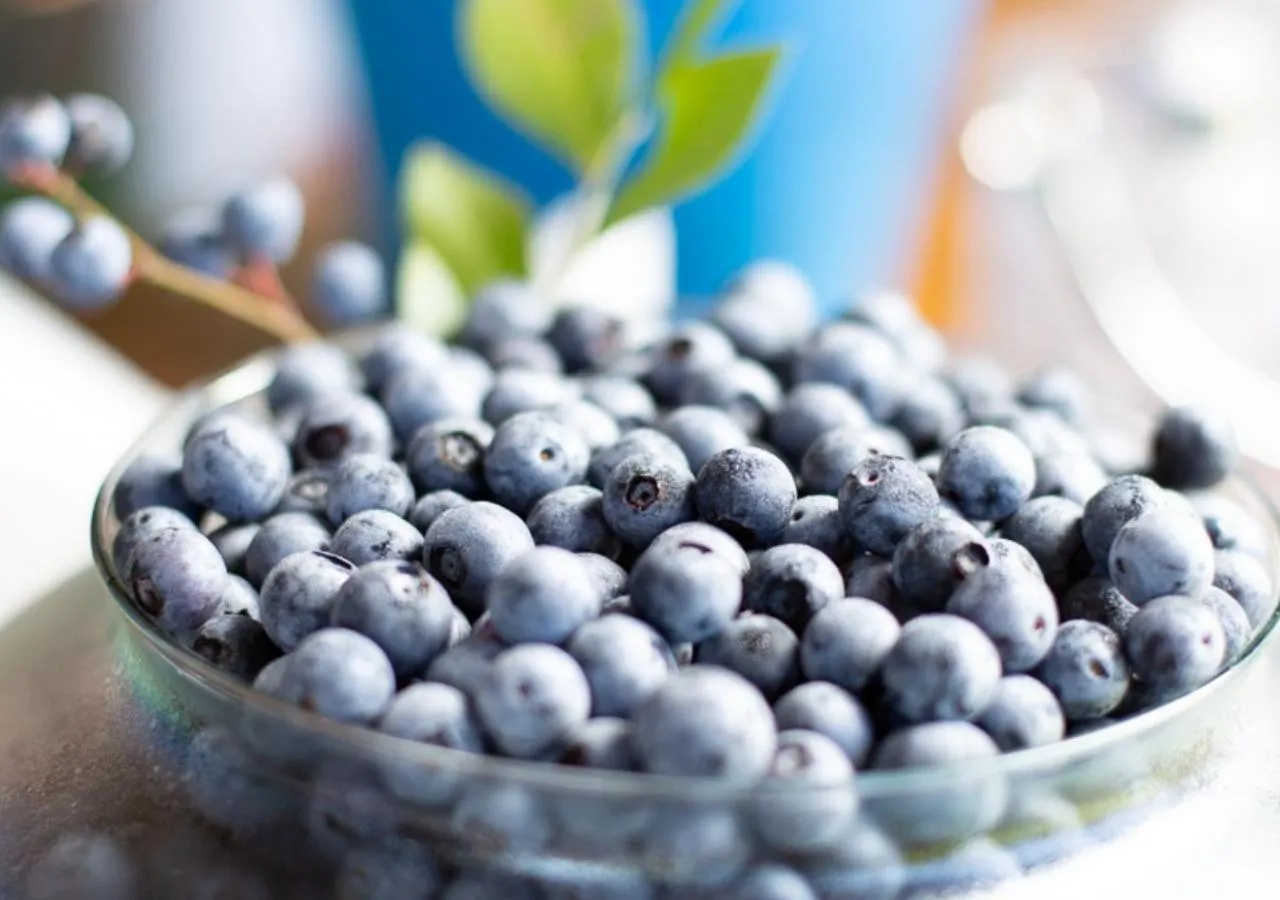 Nearby landmark in Dona Adelia Hotel e Restaurante