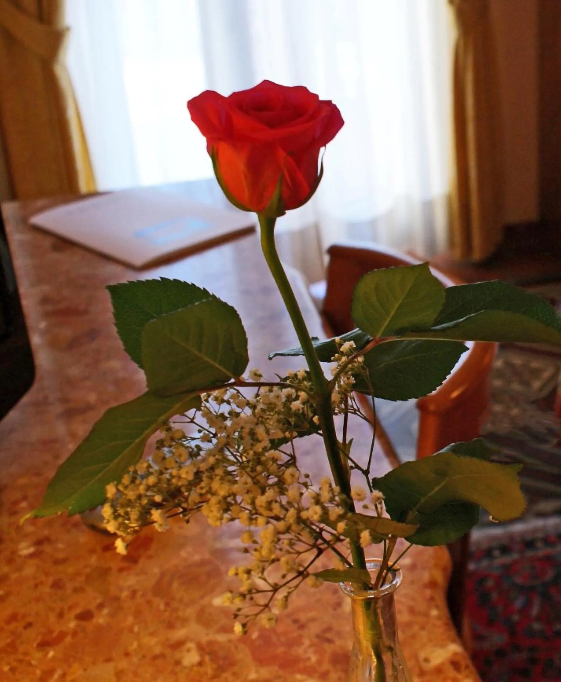 Decorative detail in Hotel Progresso