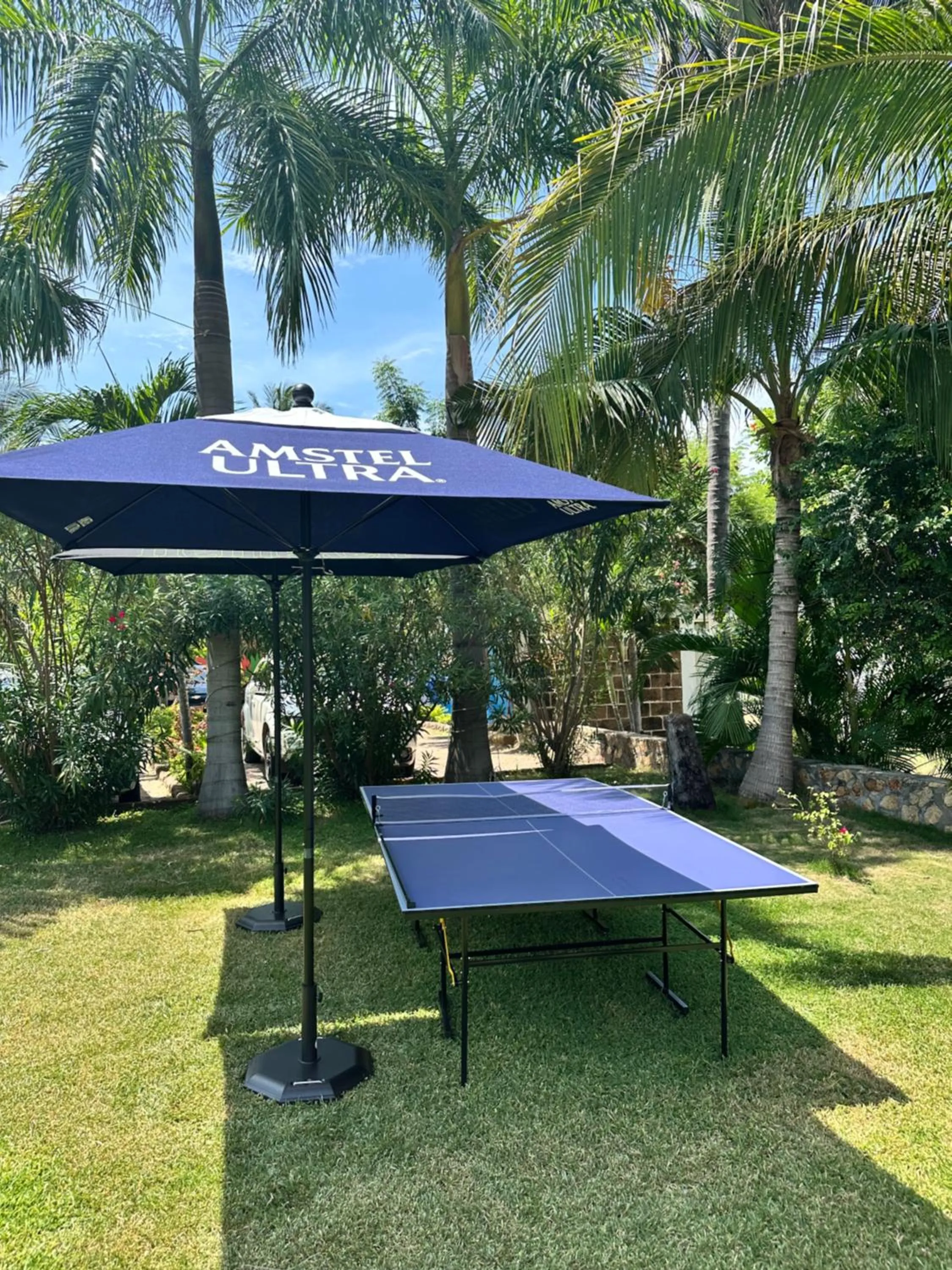 Table tennis in Rojo Manglar Acapulco