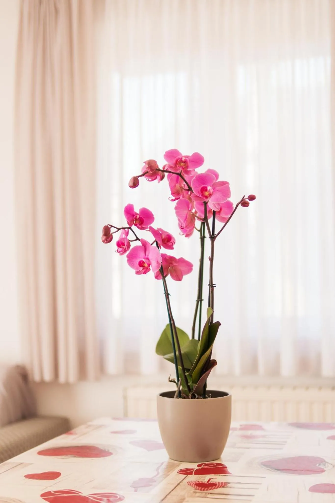 Residence Al Caminetto