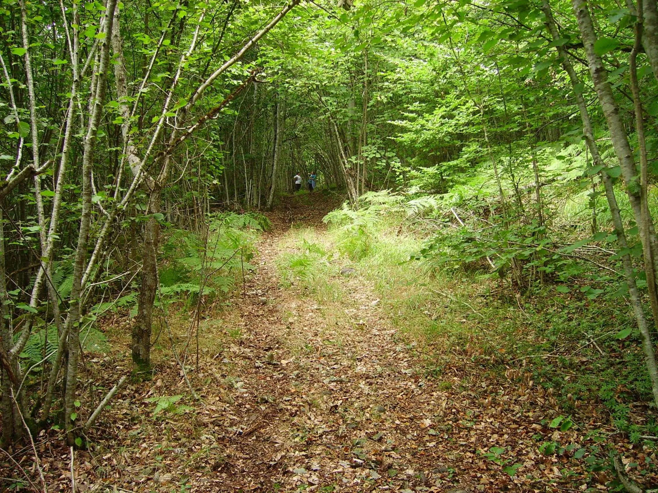Area and facilities in Logis Hôtel-restaurant Les Coudercous