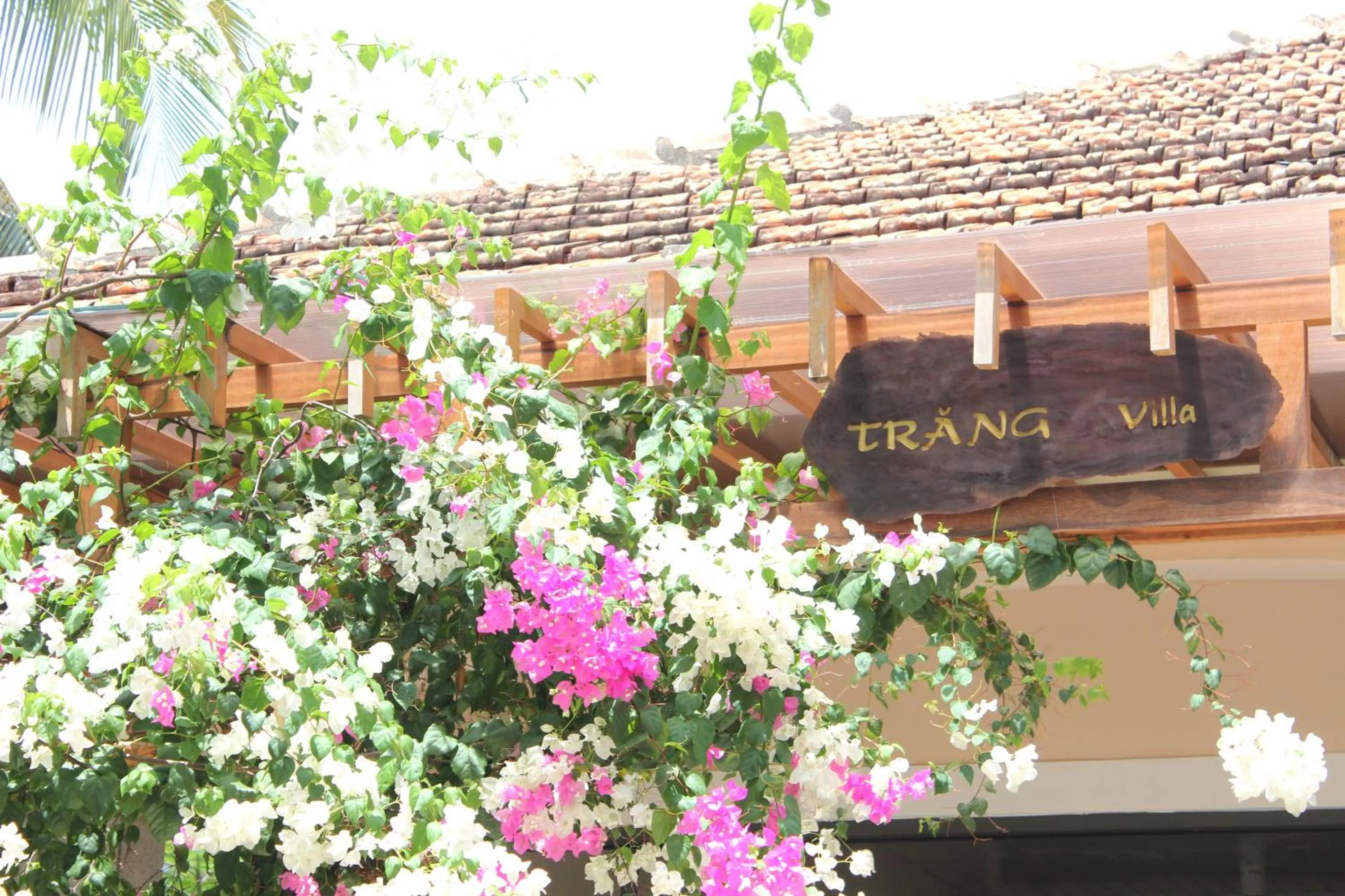 The Trang Villas