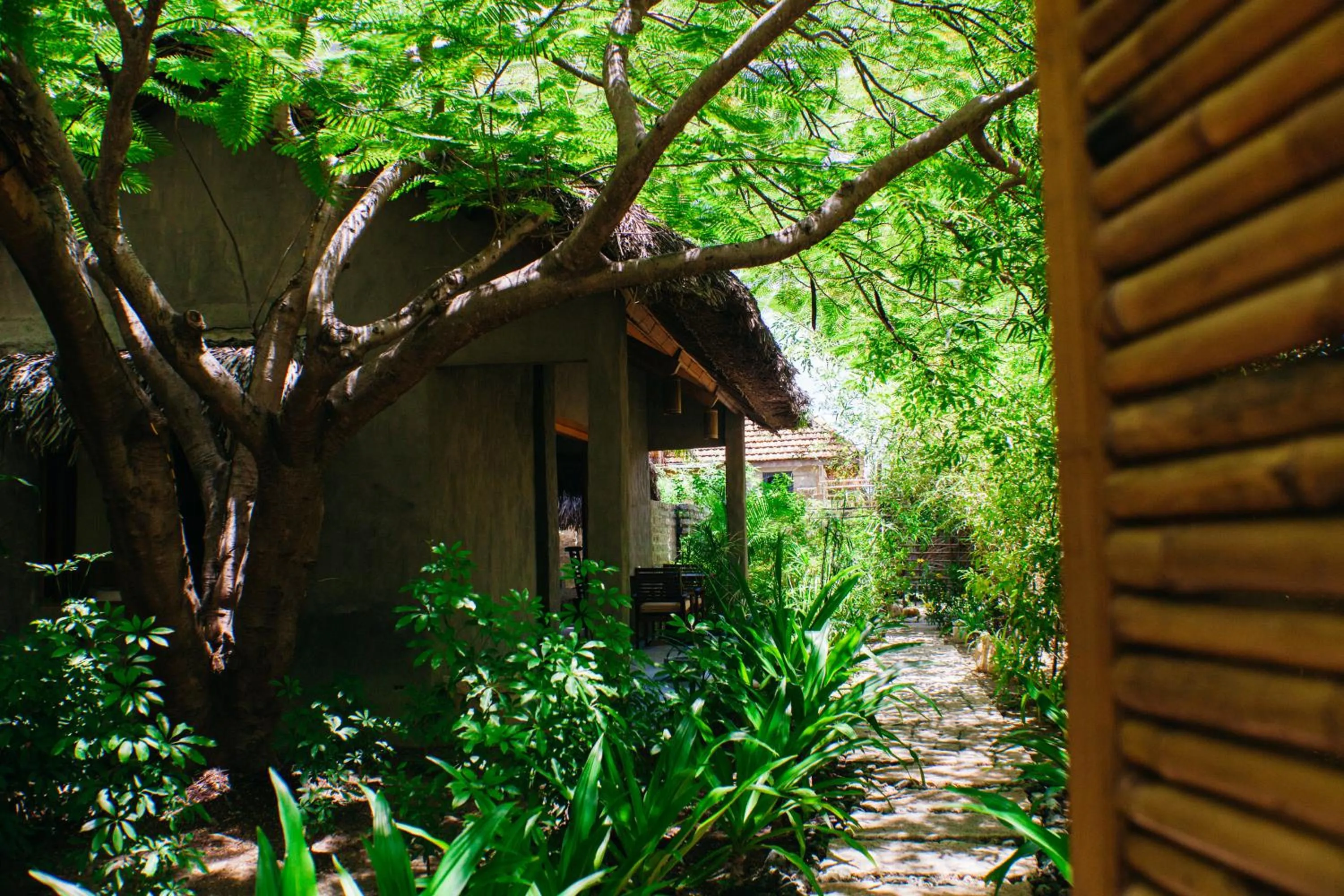 Garden in The Trang Villas