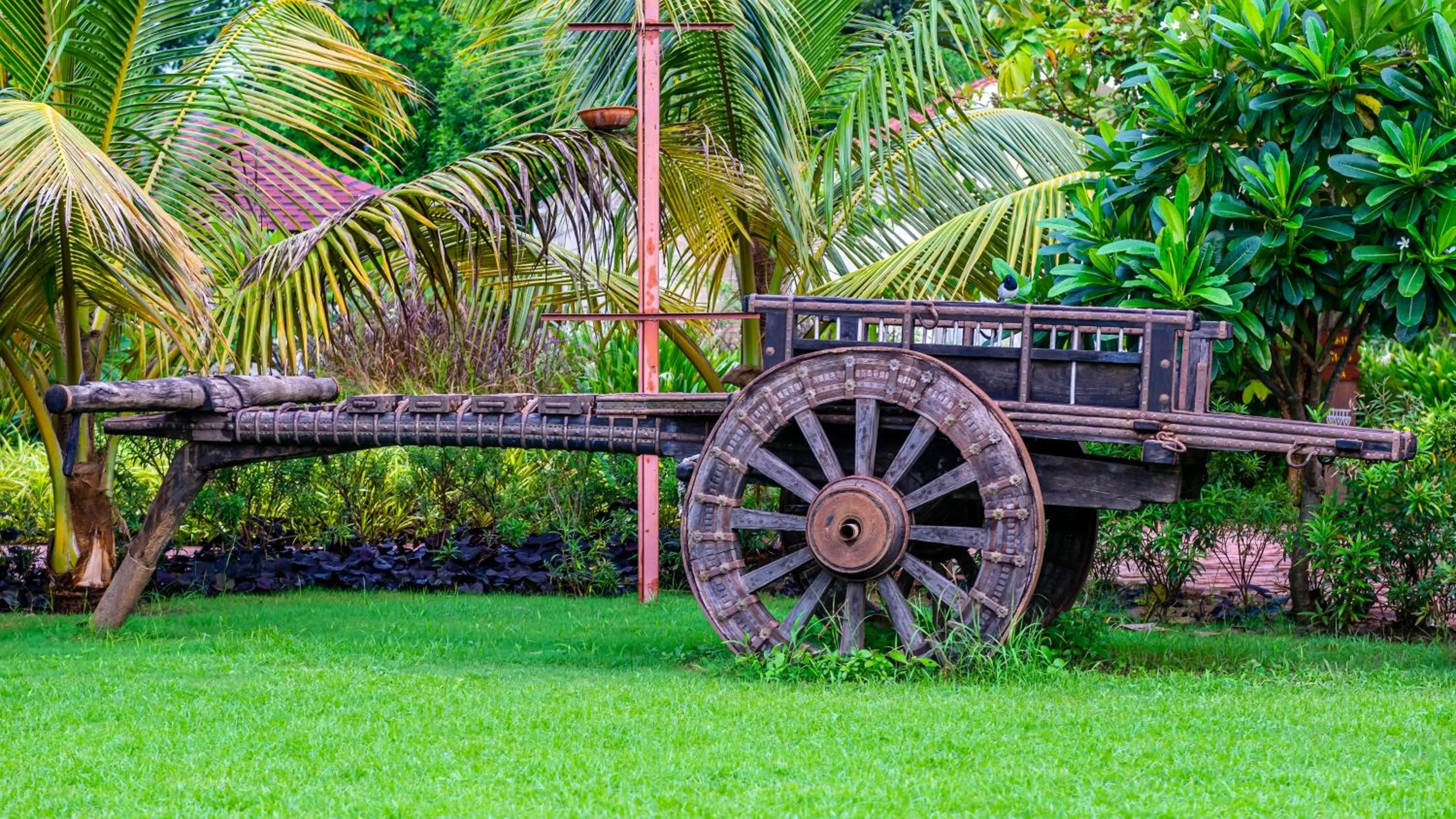 Natural landscape in The Fern Sattva Resort - Polo Forest