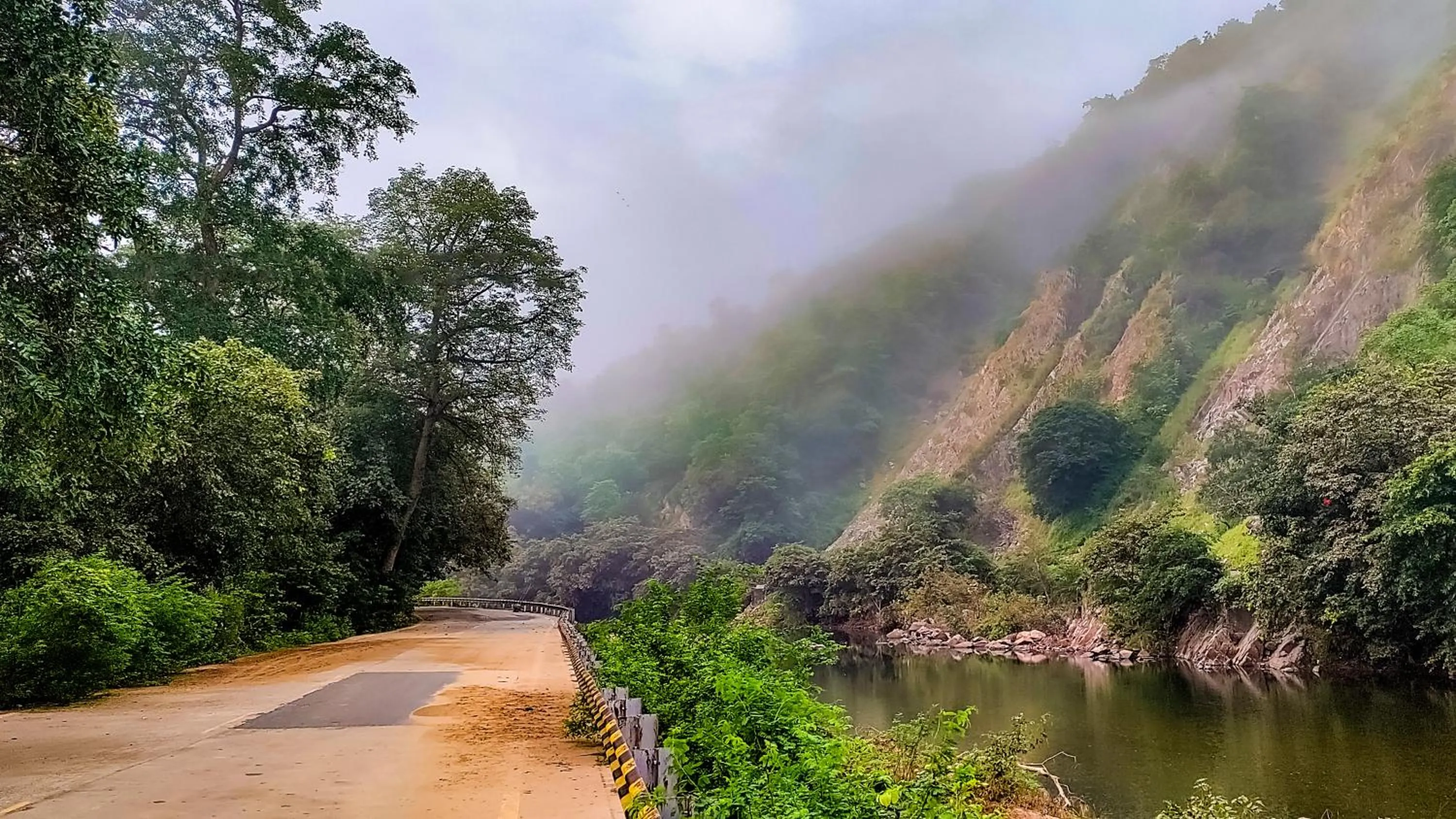 Natural landscape in The Fern Sattva Resort - Polo Forest