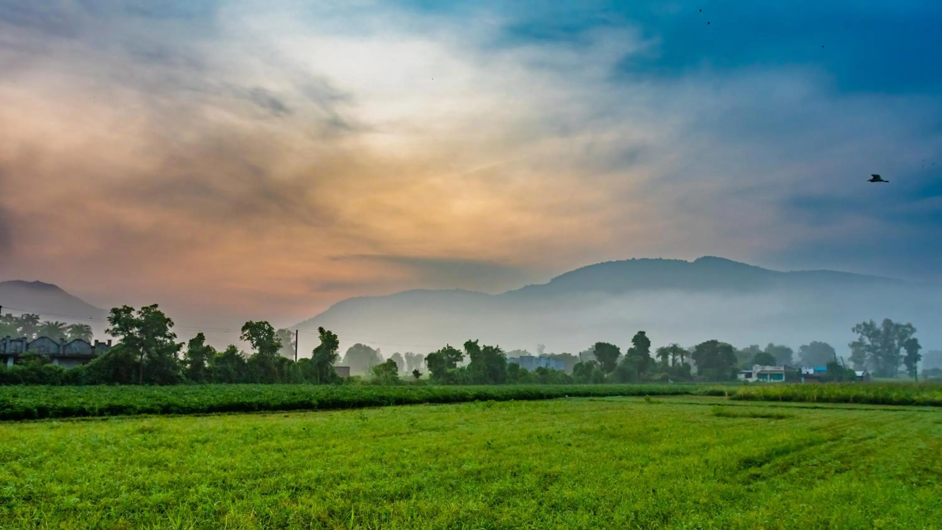 Natural landscape in The Fern Sattva Resort - Polo Forest