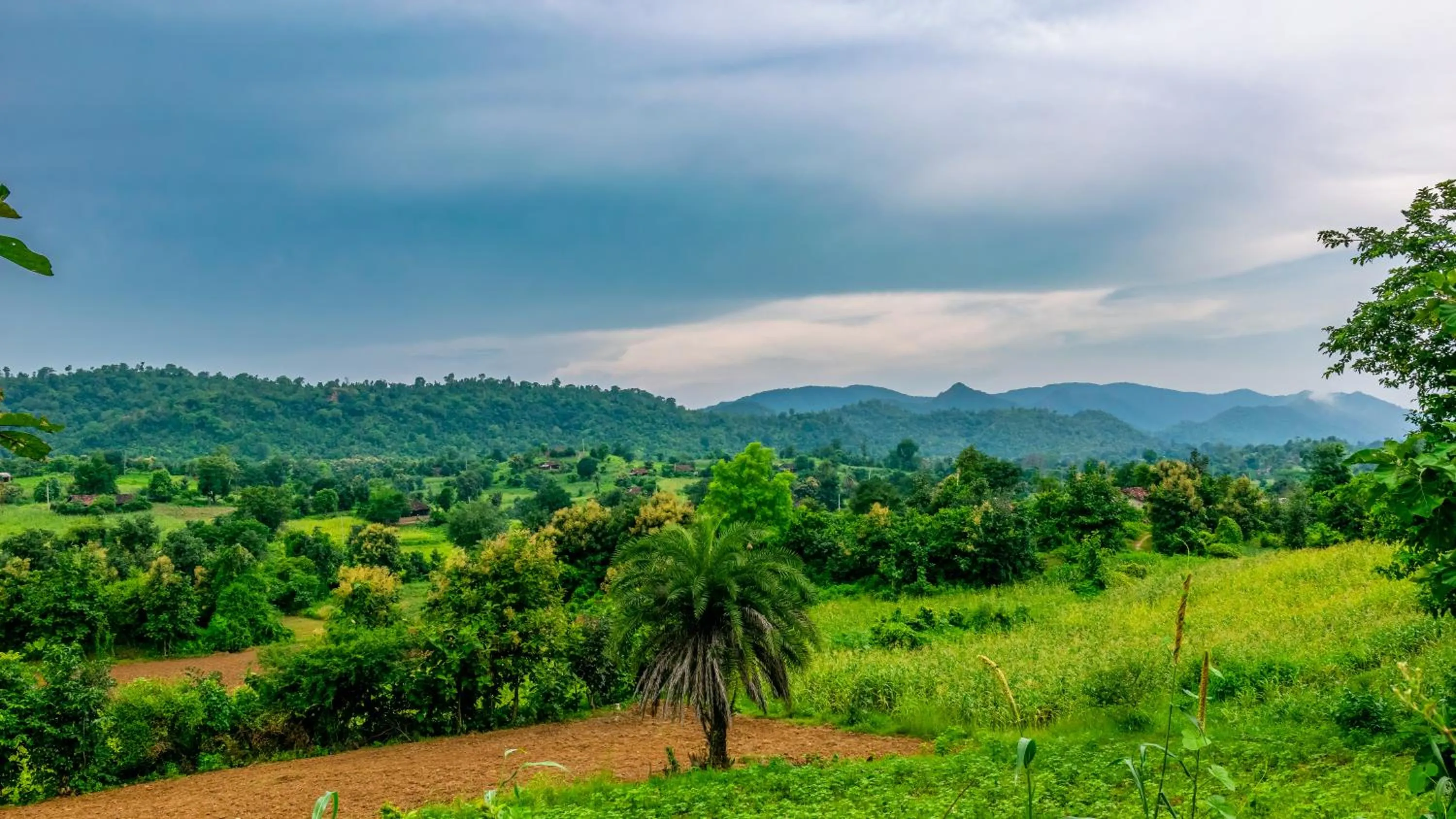 Natural landscape in The Fern Sattva Resort - Polo Forest