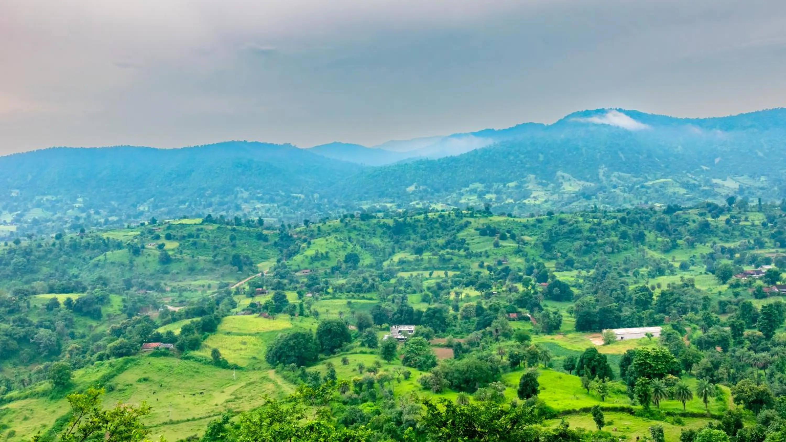 Natural landscape in The Fern Sattva Resort - Polo Forest