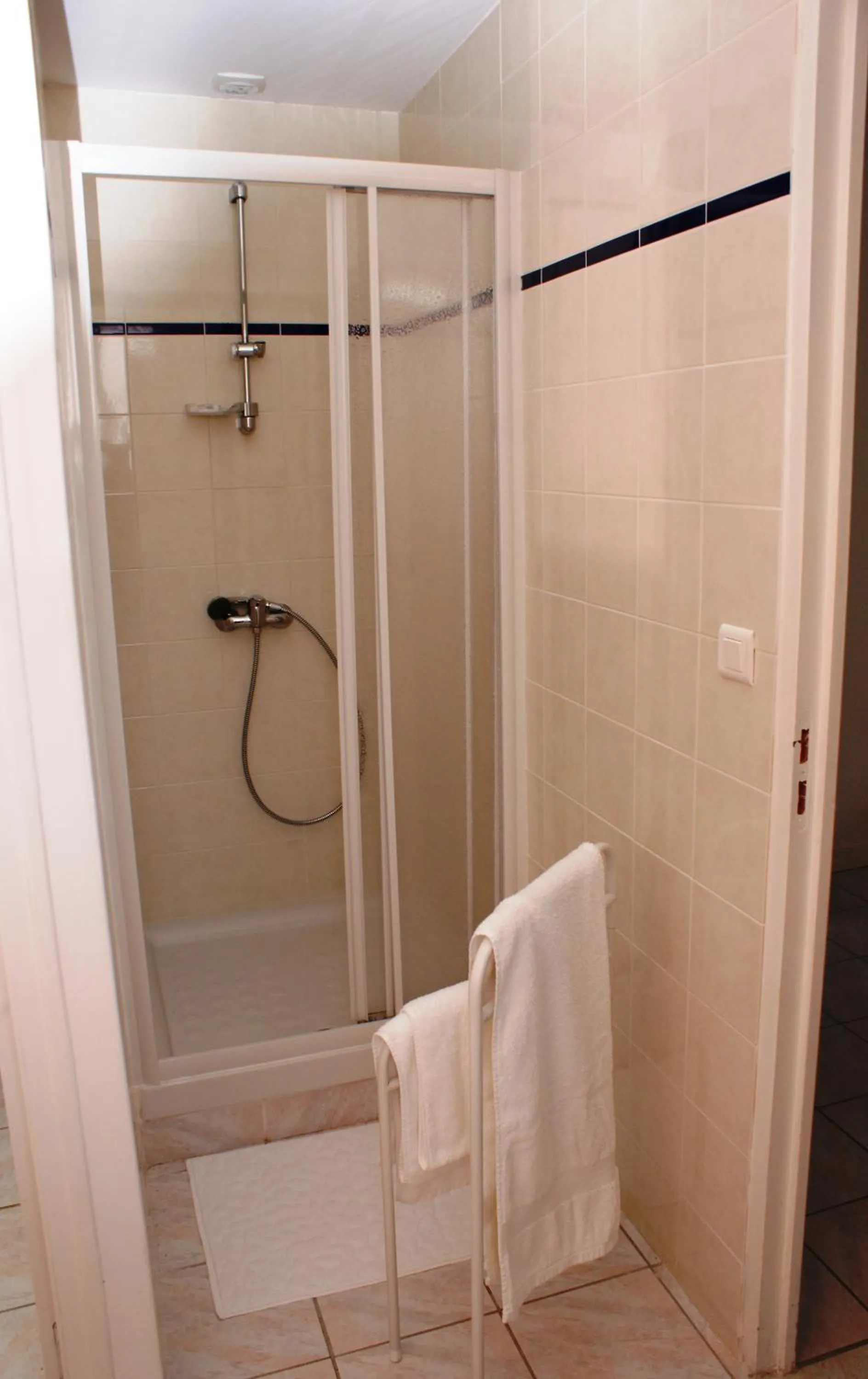 Shower in MOULIN DE LACHAUD - HOTEL et GITES