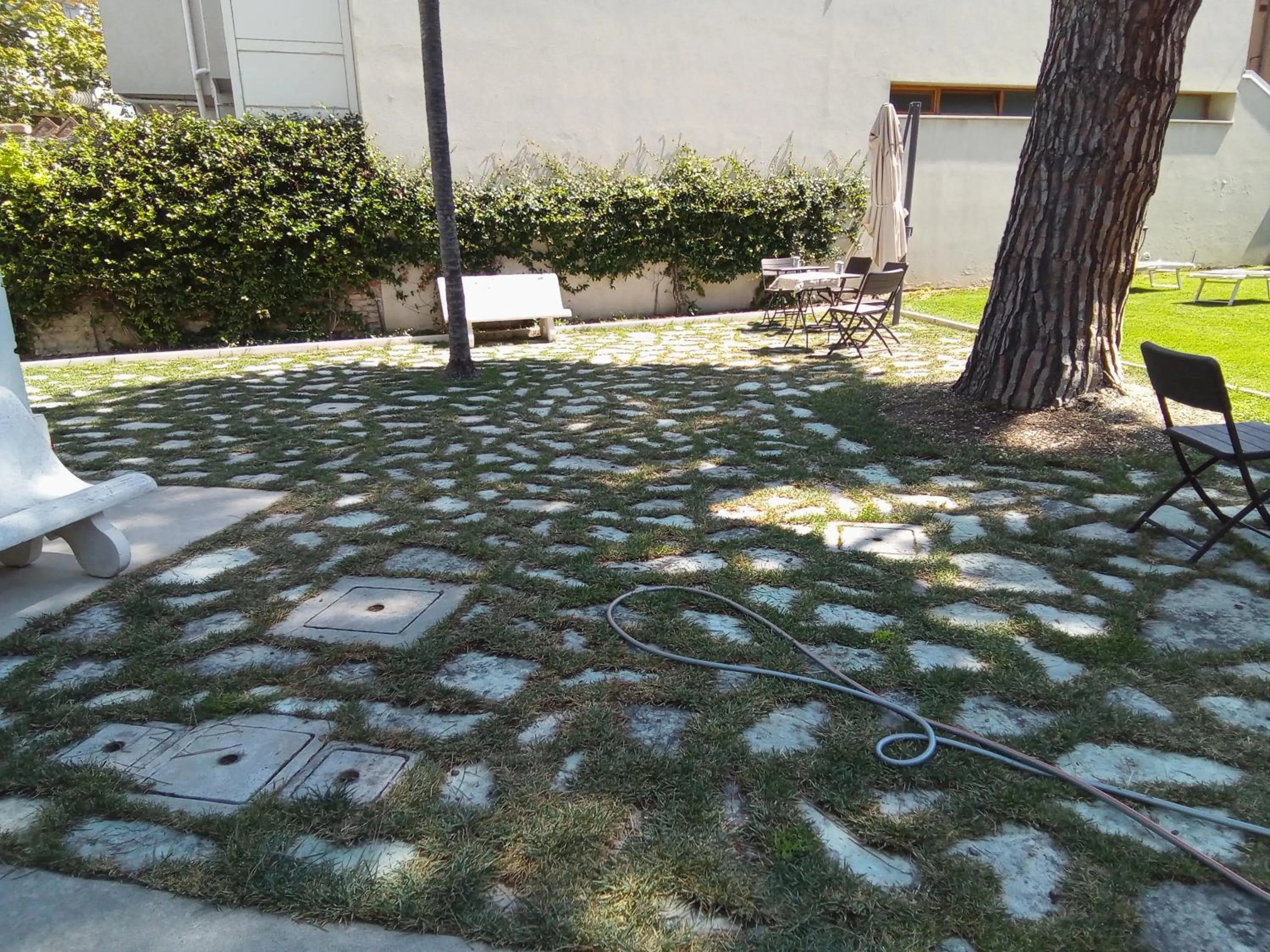 Garden in B&B VILLA TOZZA