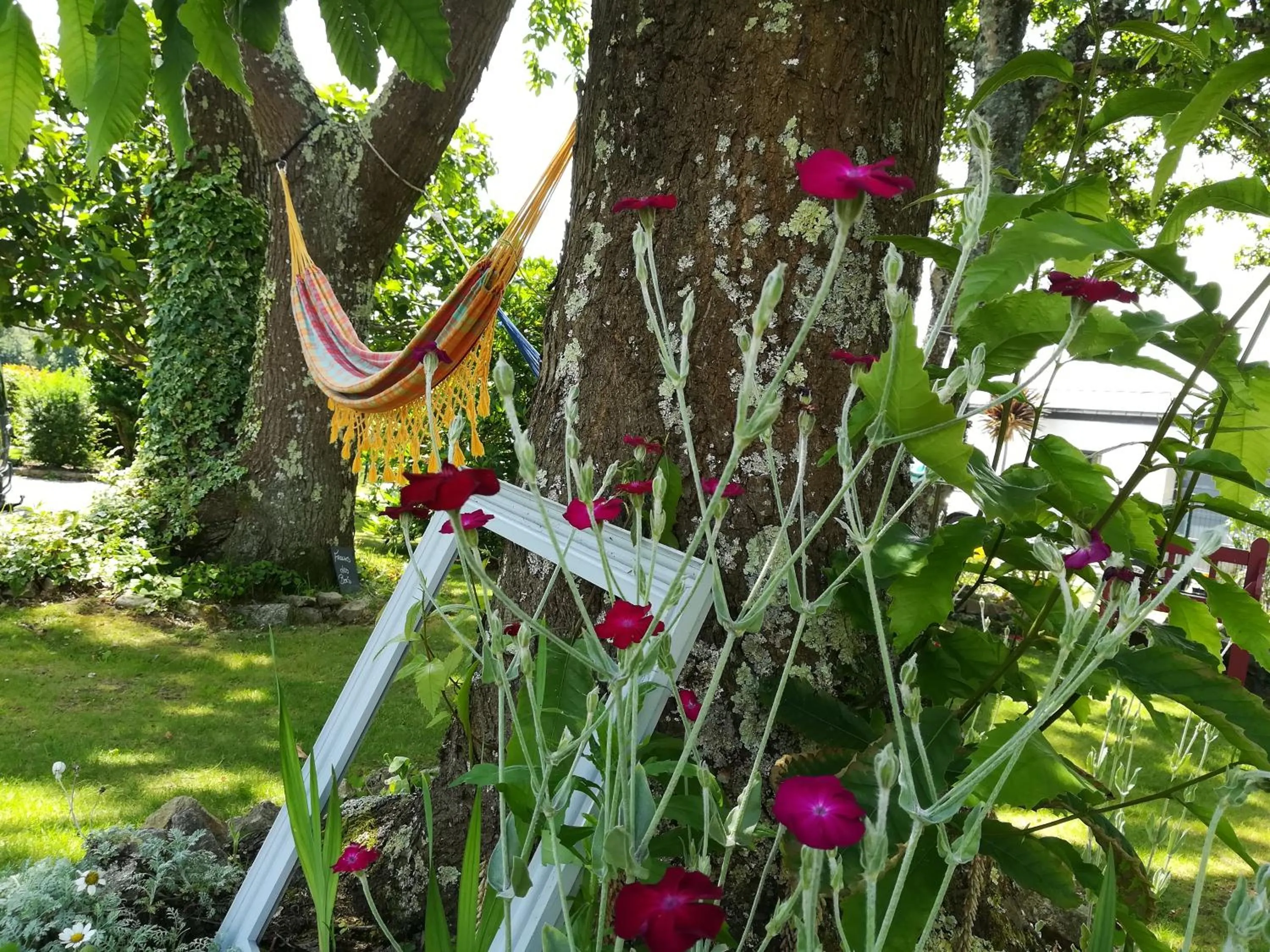 Garden in Ty Coz Breizh Chambres d'hôtes