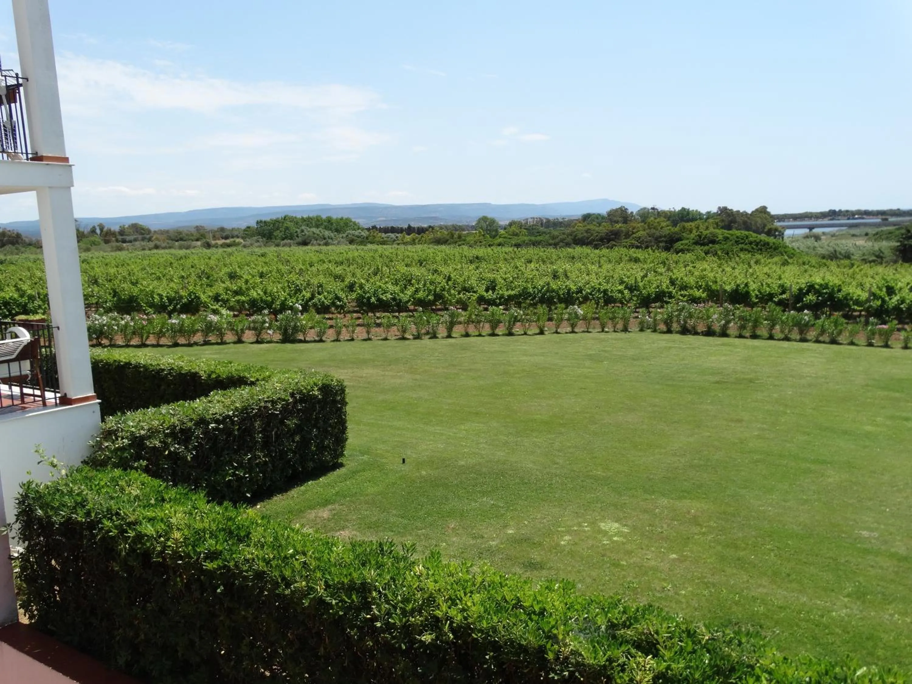 Garden view in Il Pagio
