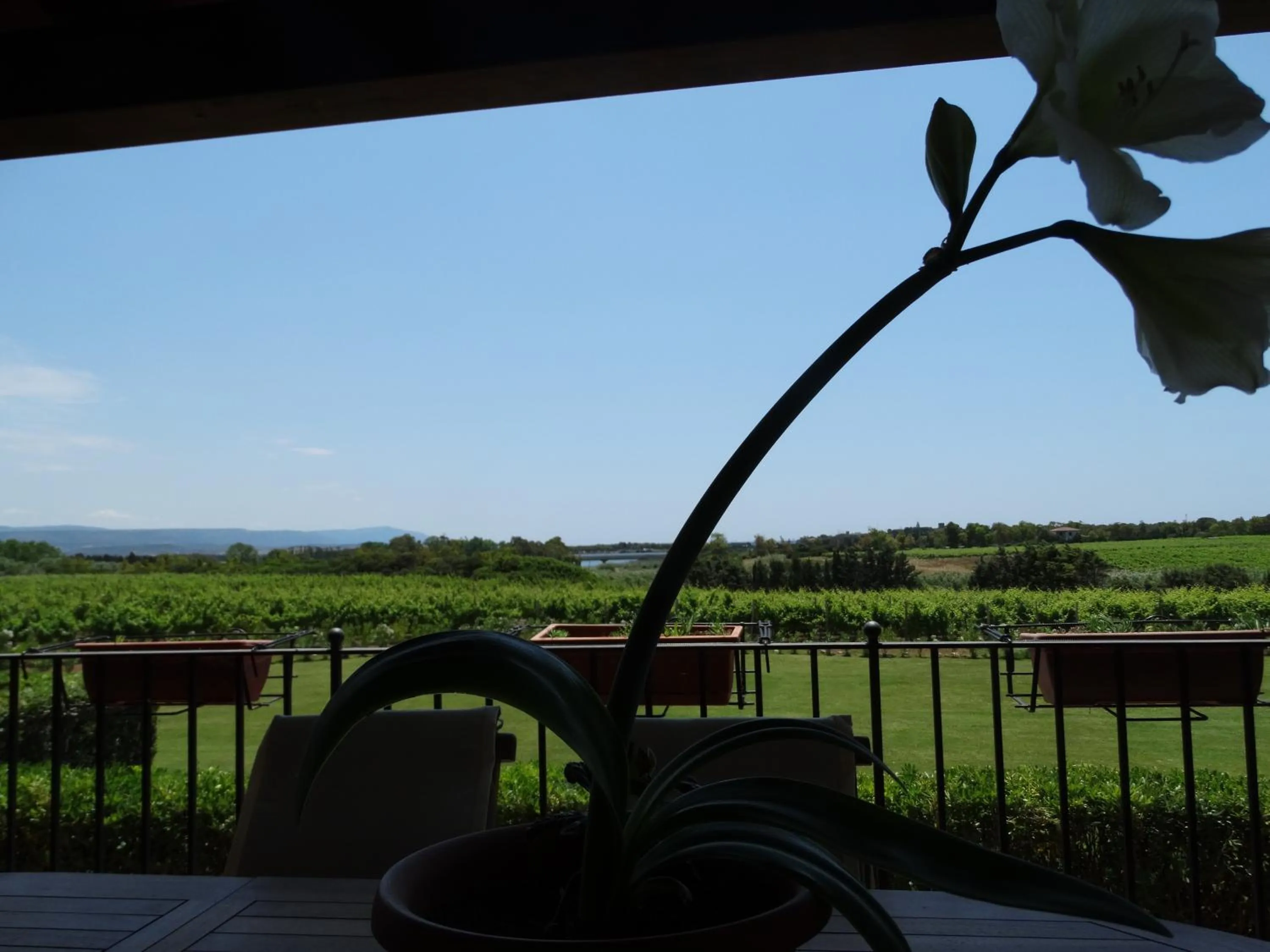 Balcony/Terrace in Il Pagio