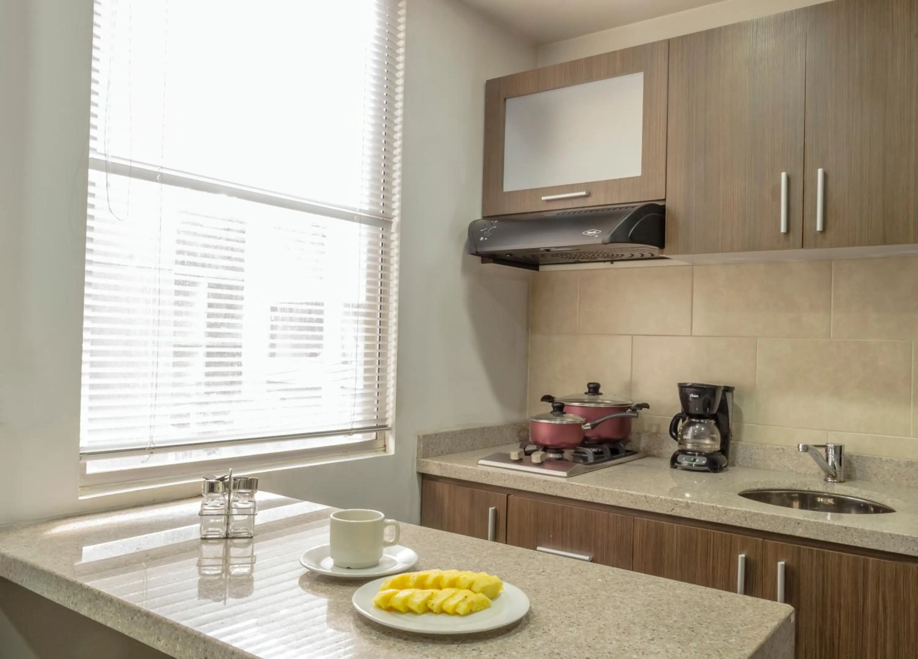 Kitchen or kitchenette in Hotel Apartamentos Regency La Feria