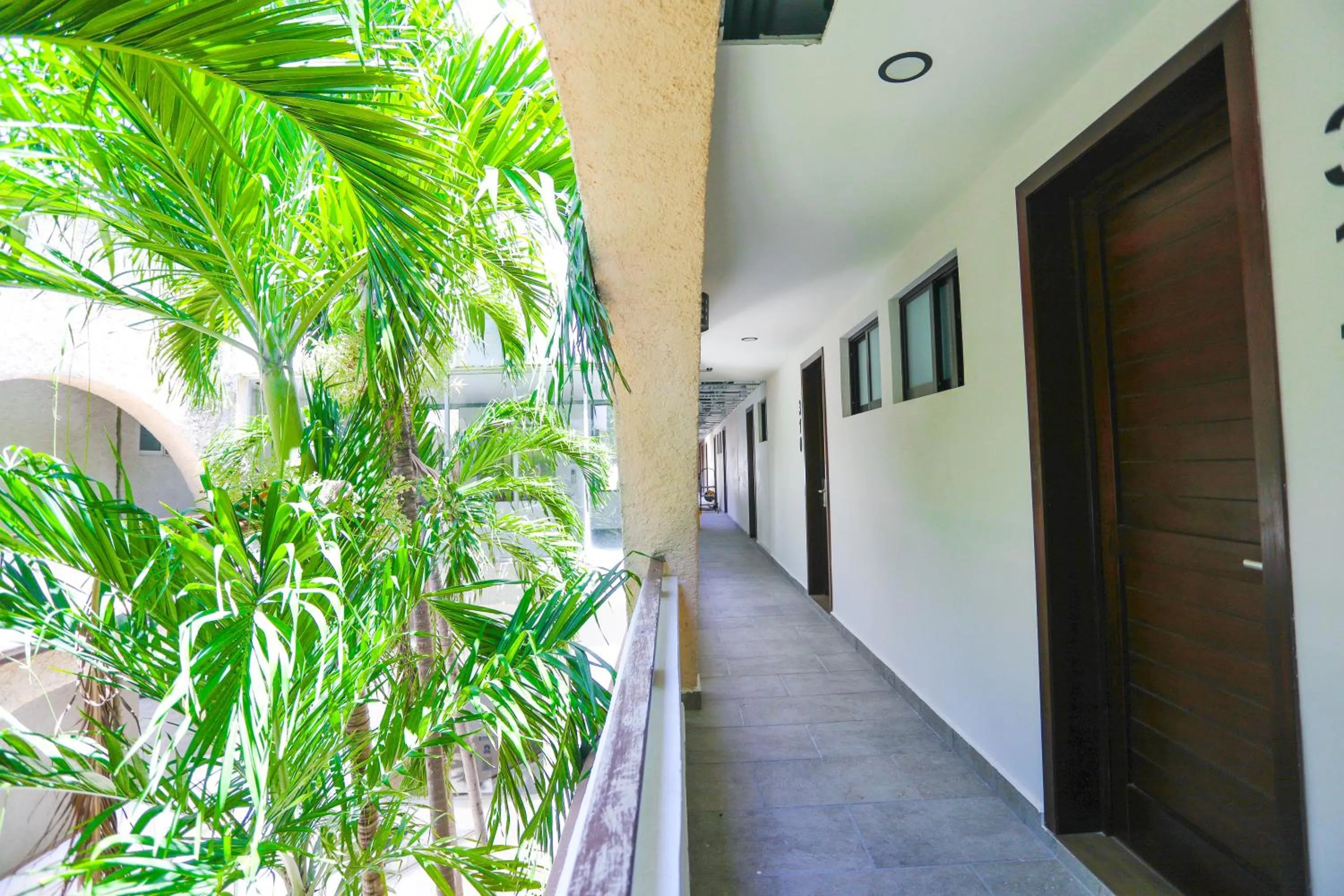 View (from property/room) in Hotel Parador