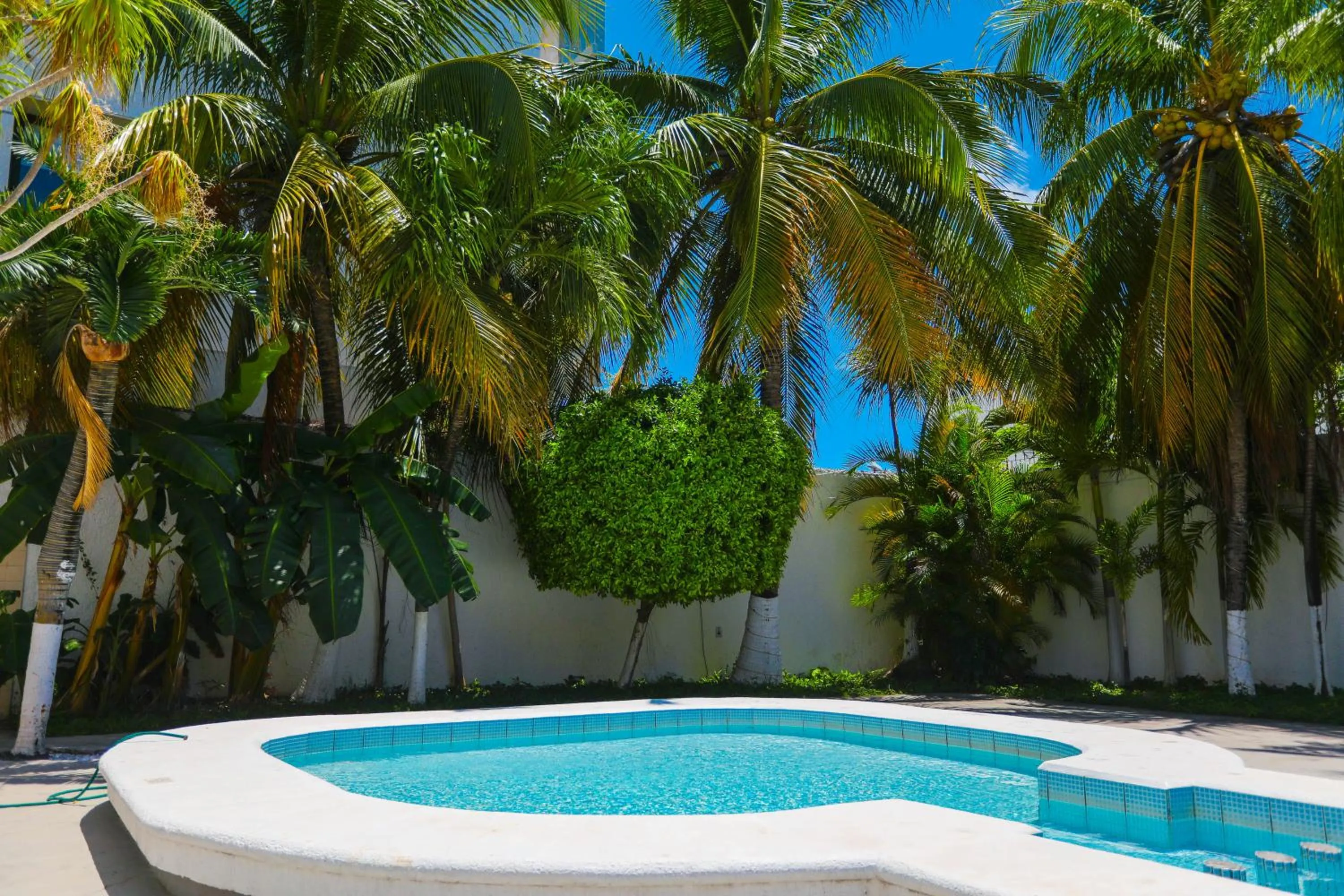 Swimming pool in Hotel Parador
