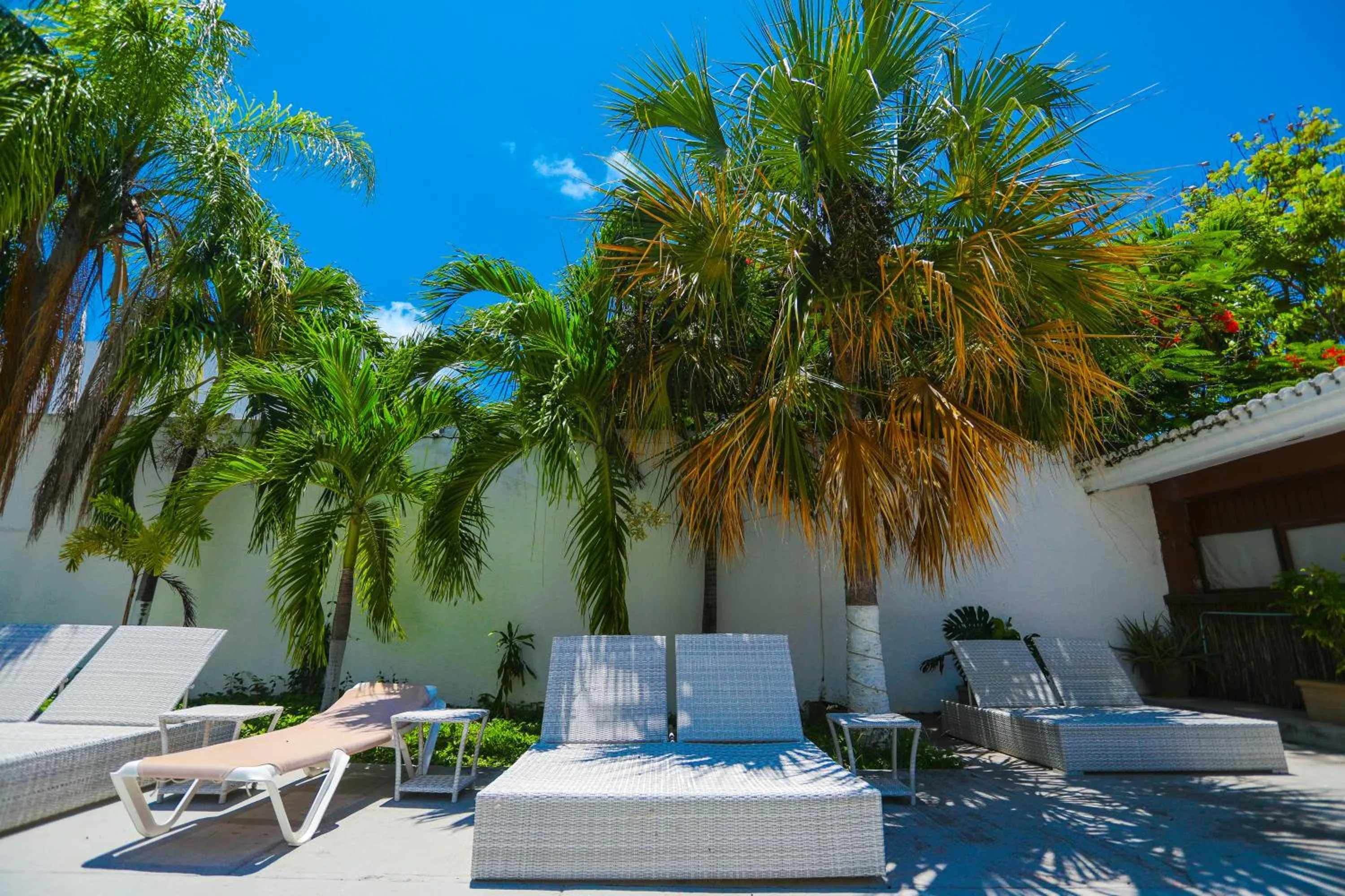 Garden in Hotel Parador