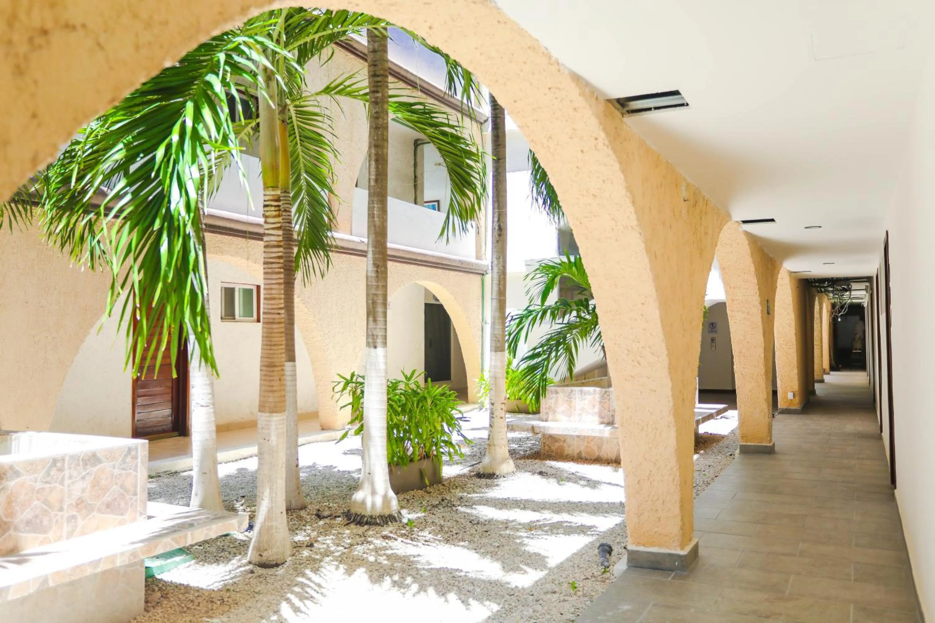 Garden view in Hotel Parador