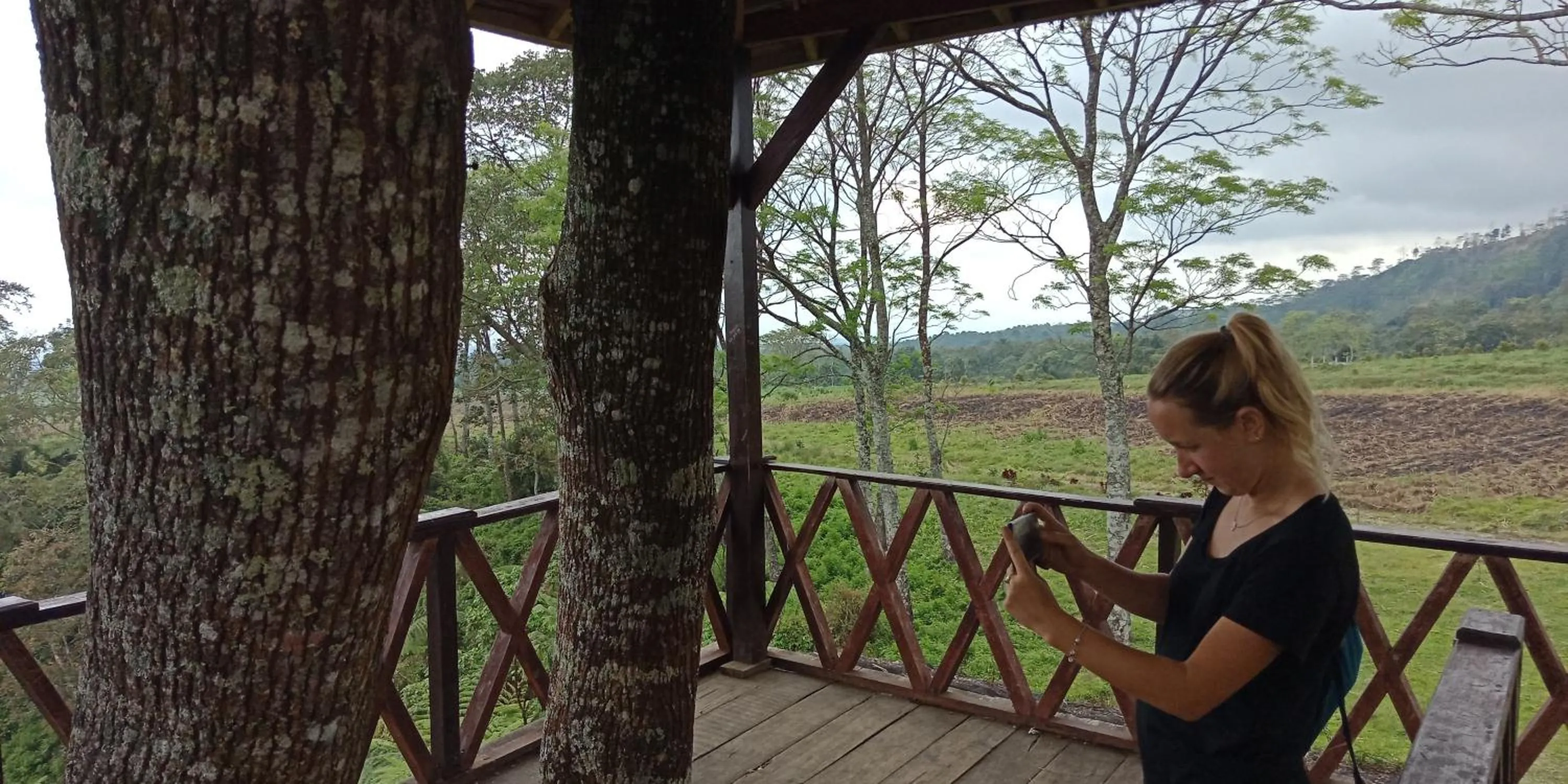 Garden in Cheap Inn Banyuwangi