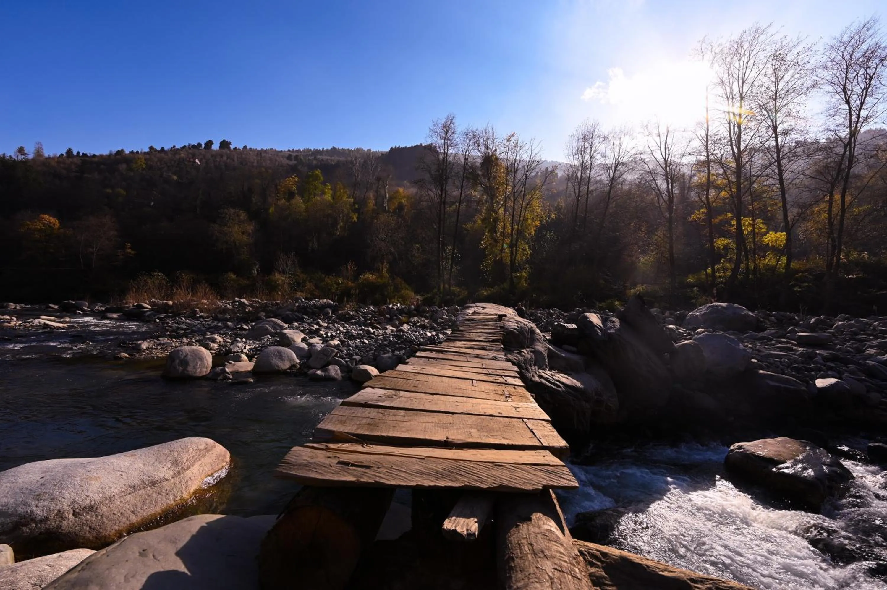 Day in Zostel Dobhi, Manali