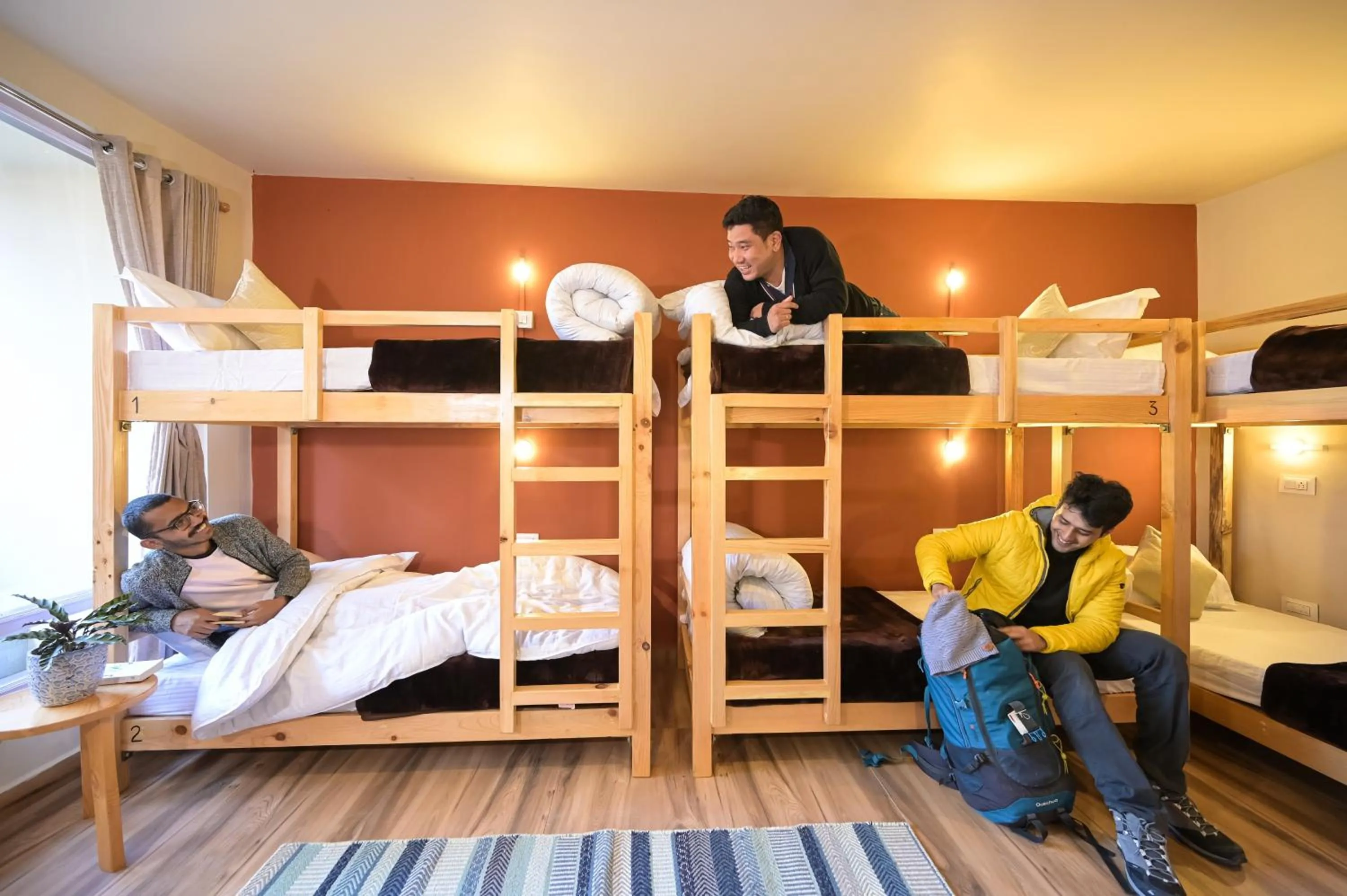 bunk bed, Bed in Zostel Dobhi, Manali