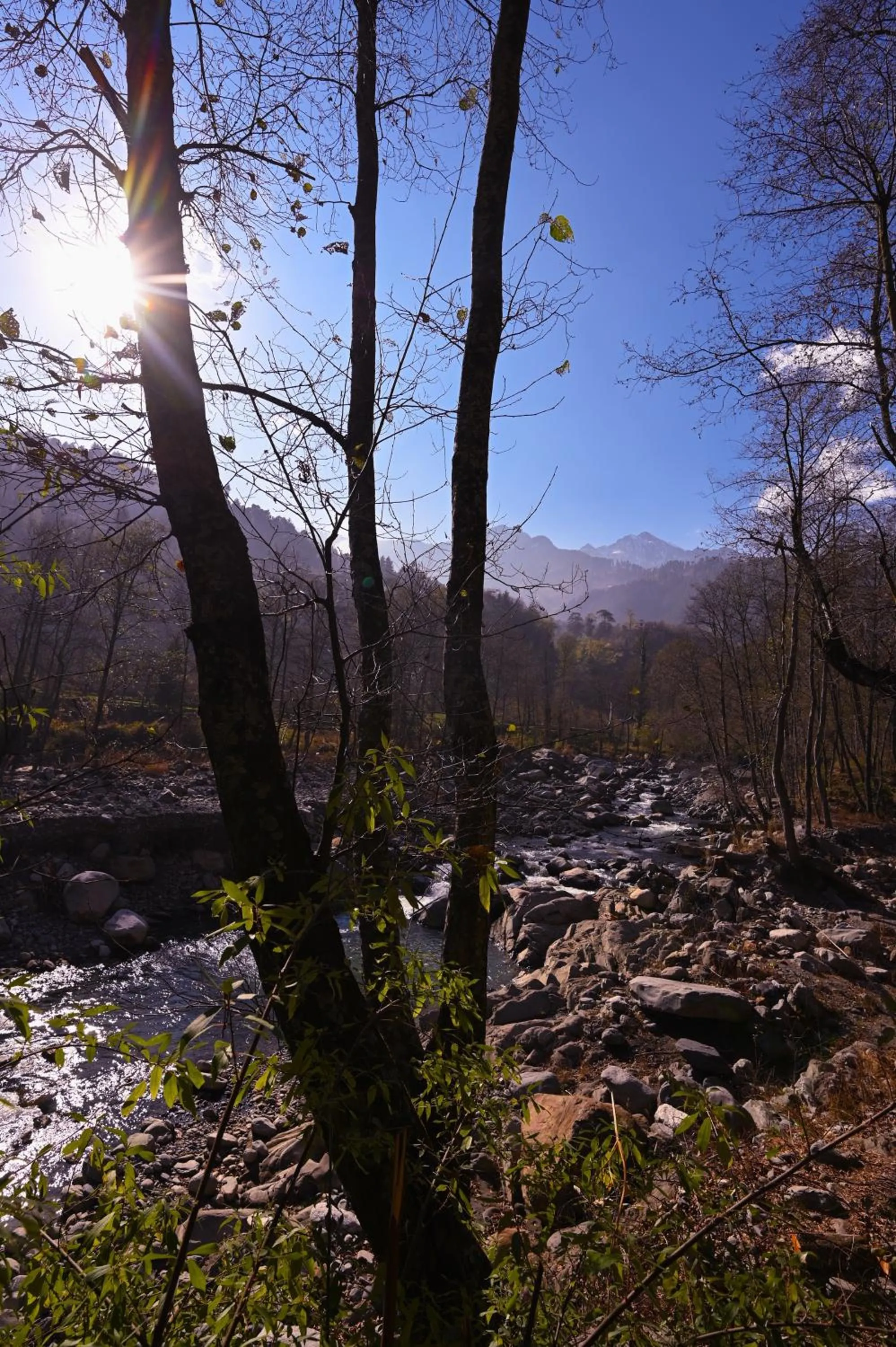 Nearby landmark in Zostel Dobhi, Manali