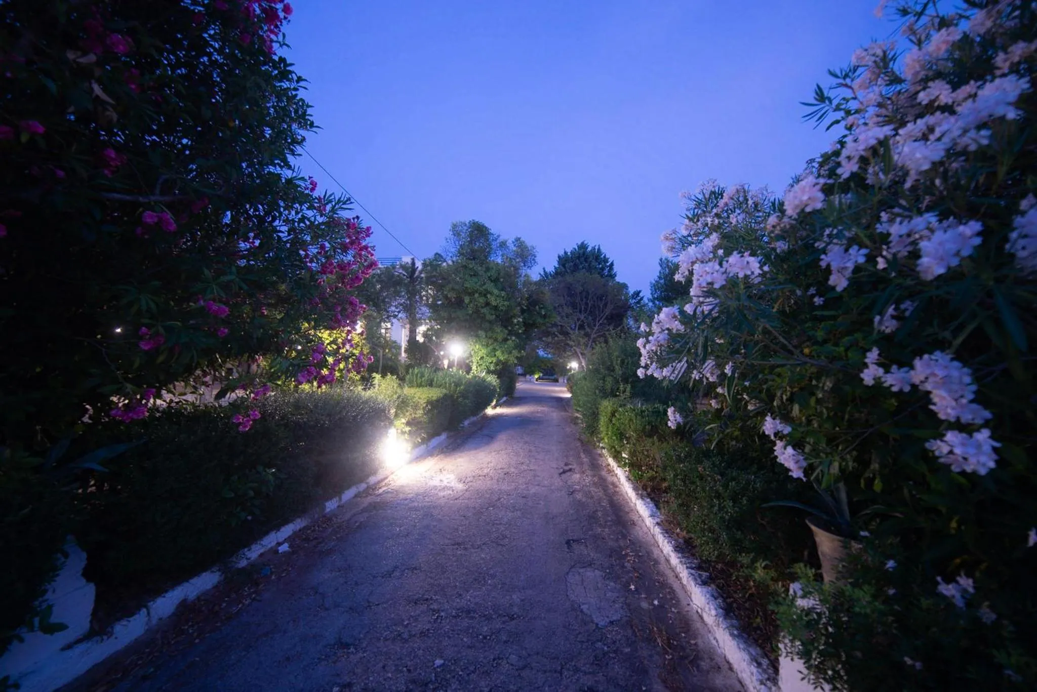 Property building in Villa Dea