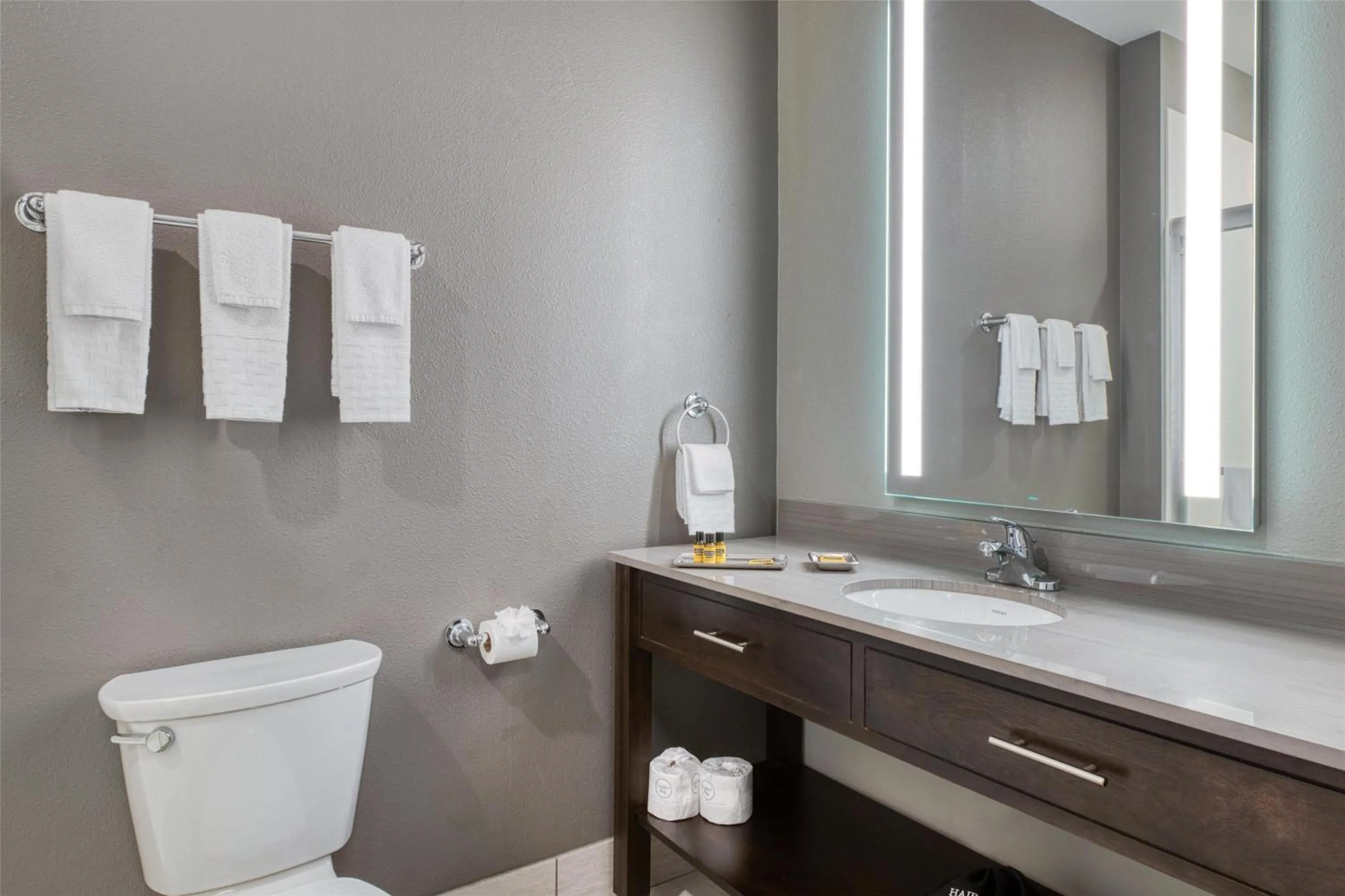 Bathroom in Best Western Plus Saint Peter