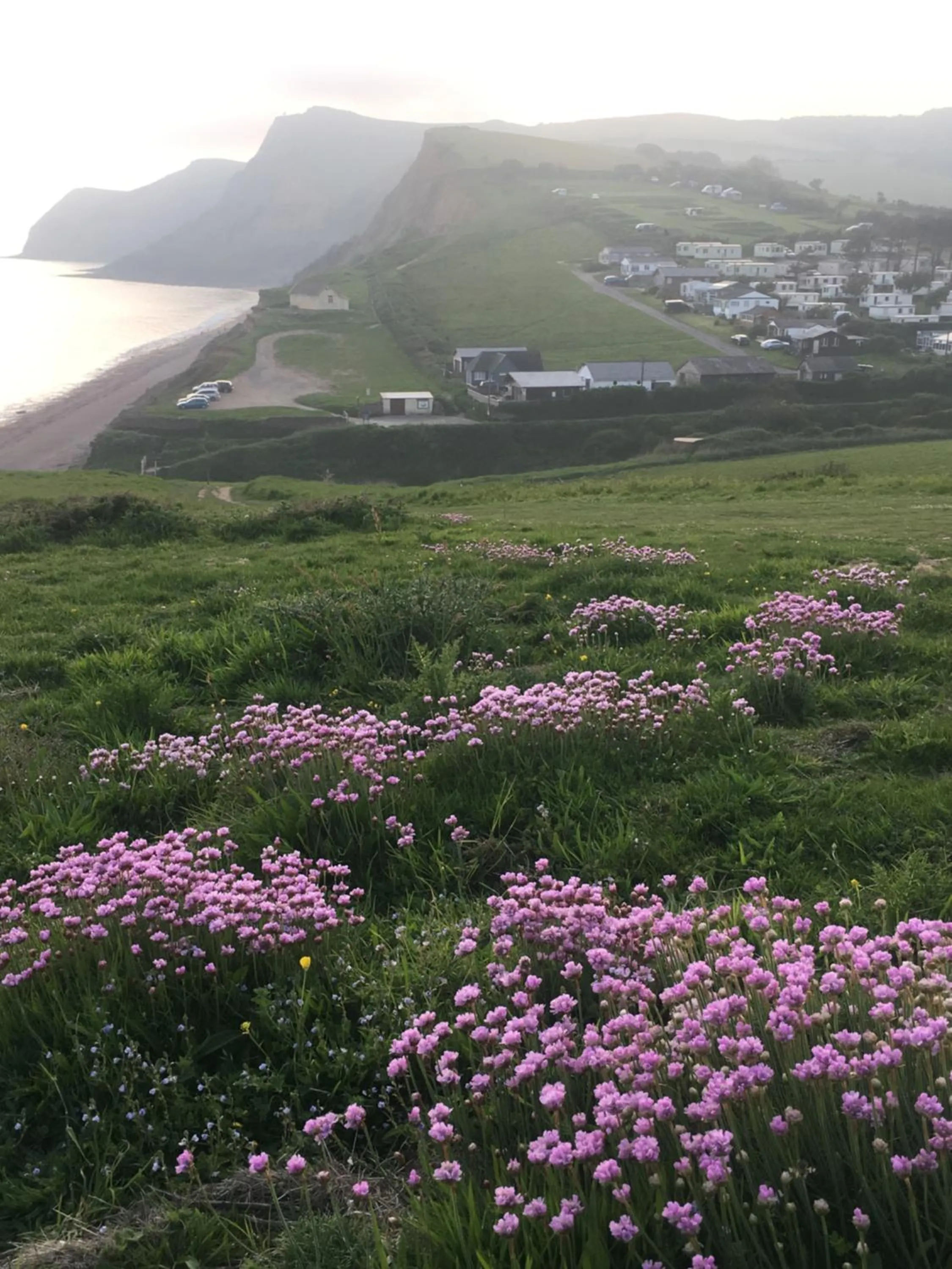 Heatherbell Cottage Guest Accommodation