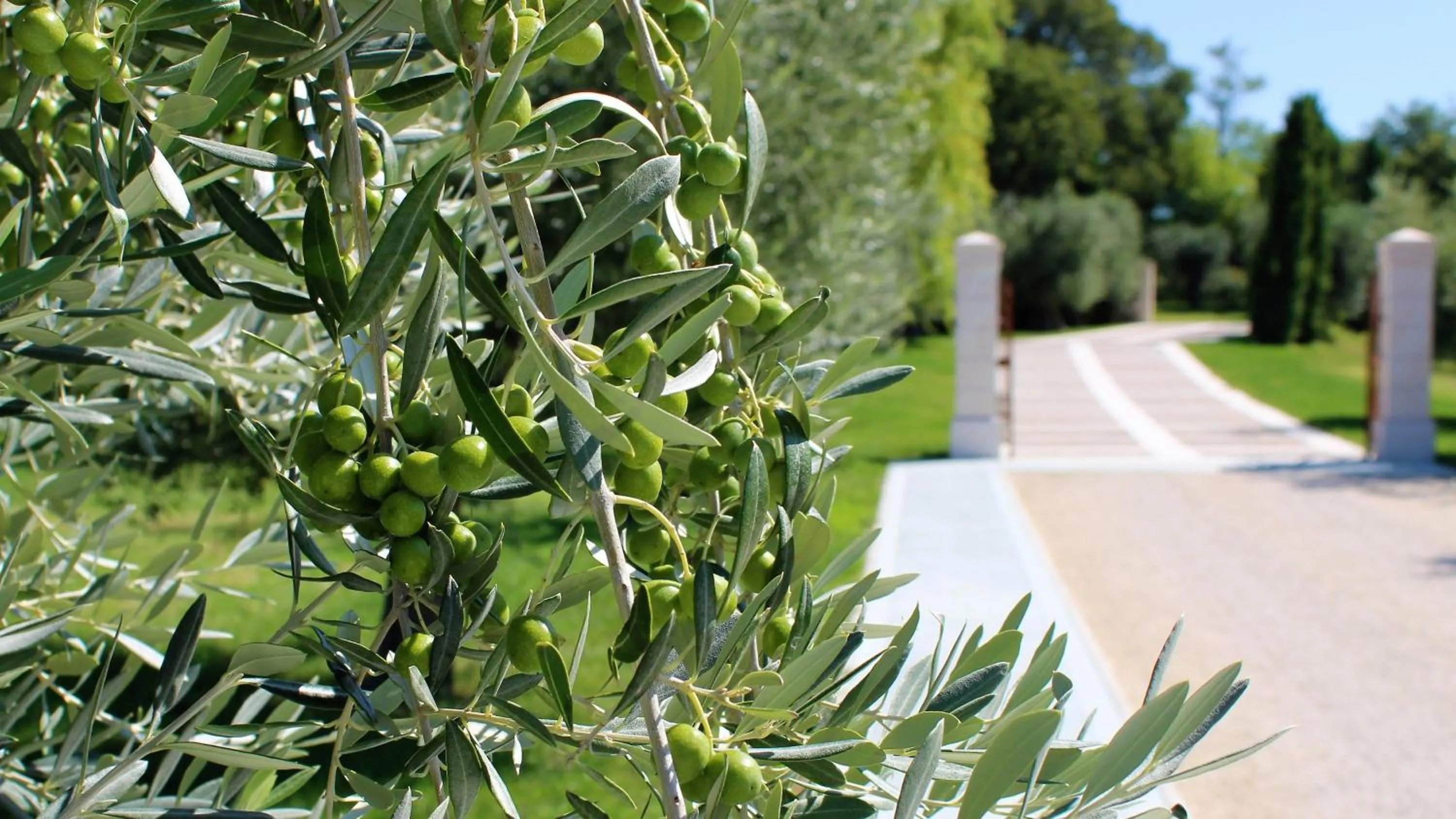 Day in Borgo Romantico Green Relais