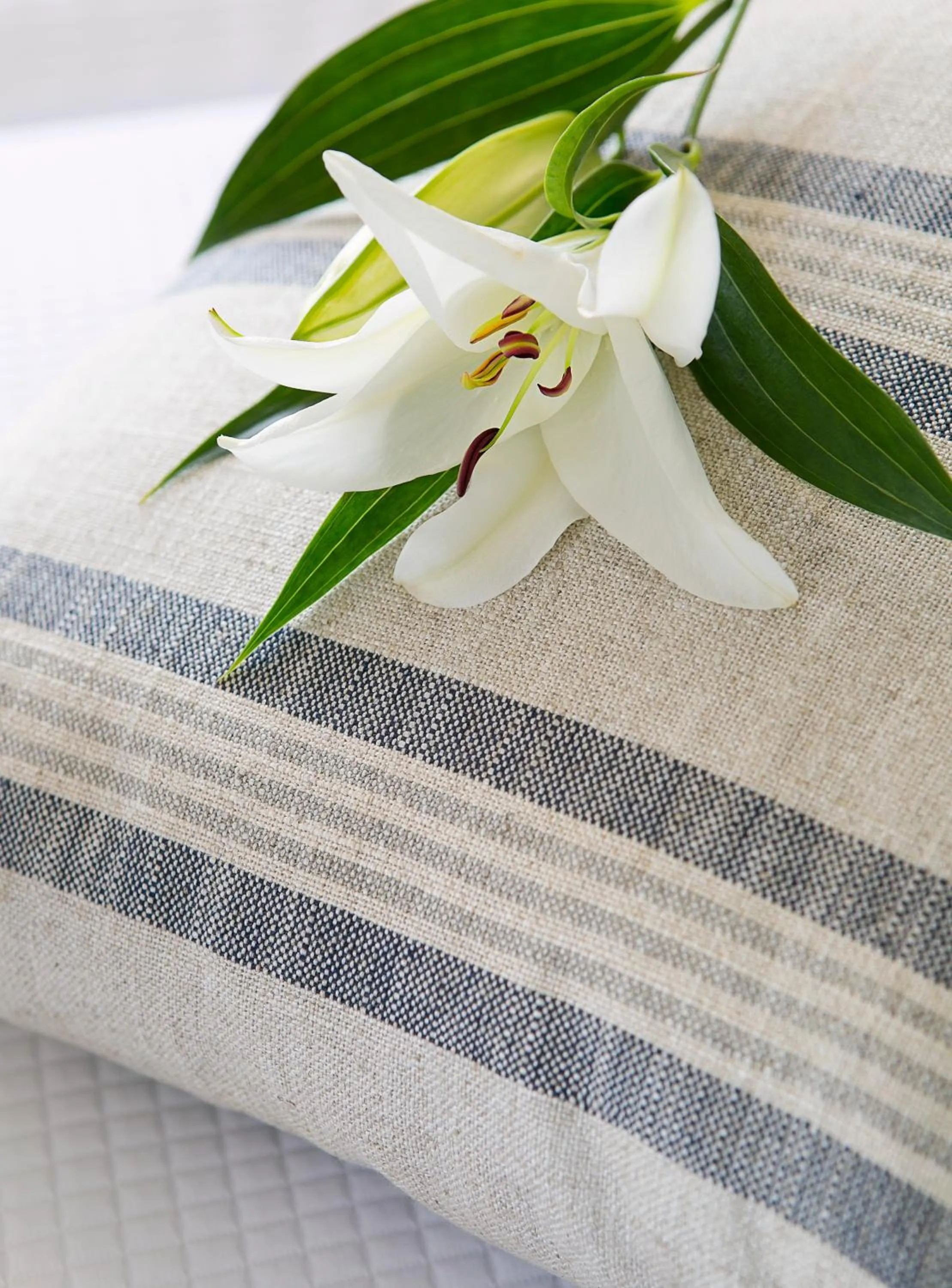 Bedroom, Bed in Louis Paphos Breeze