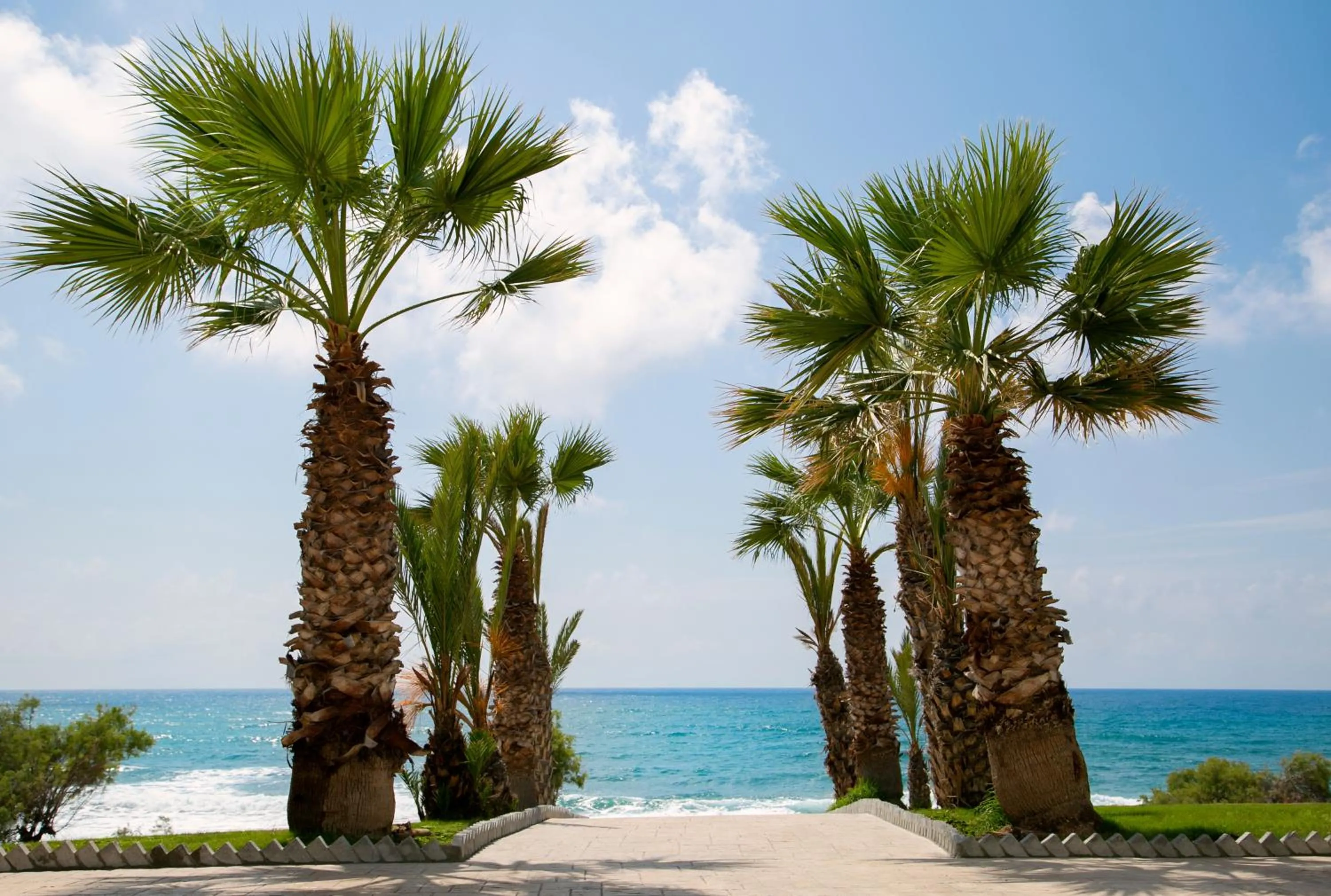 Property building in Louis Paphos Breeze