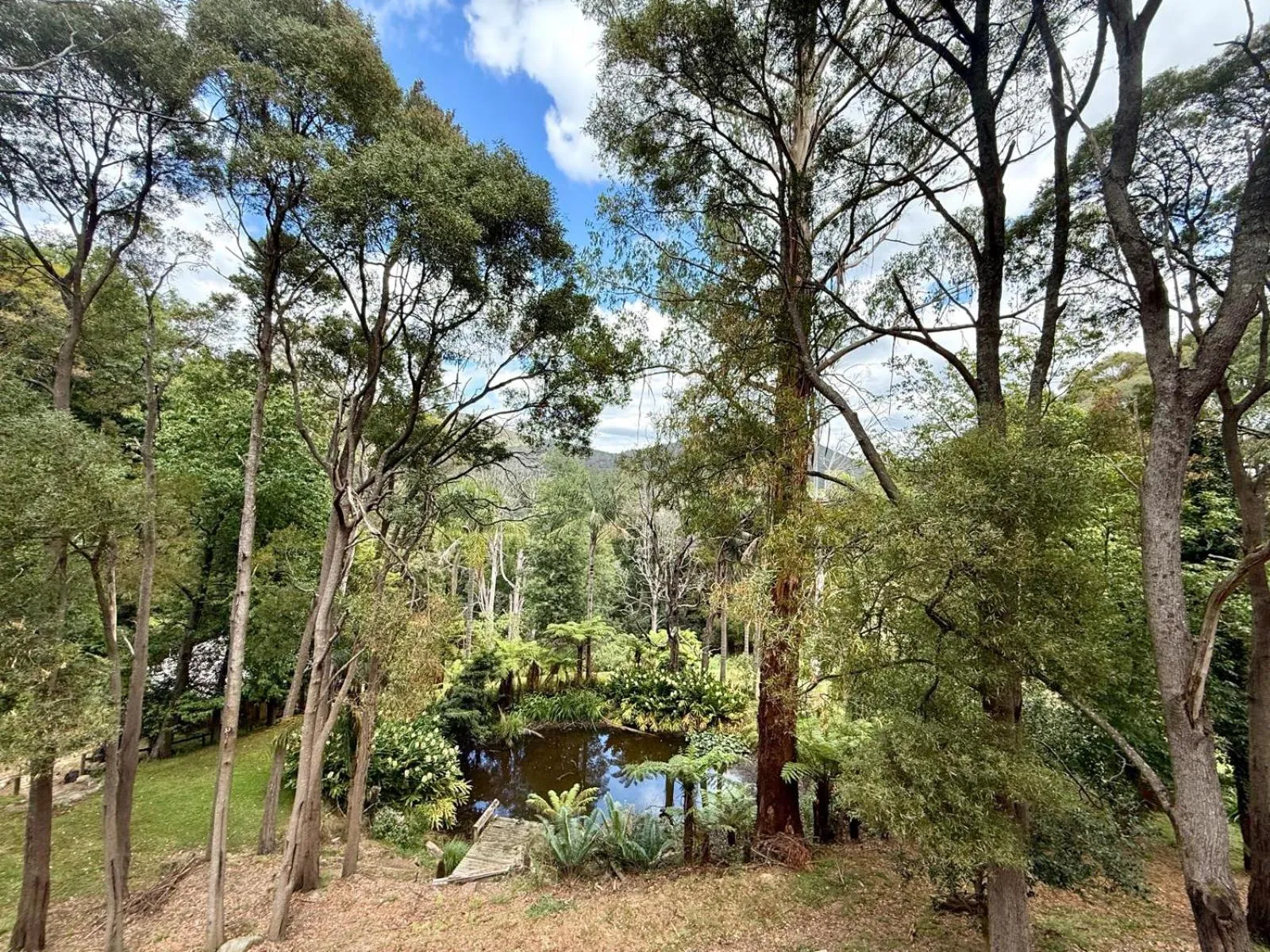 Forget Me Not Cottages