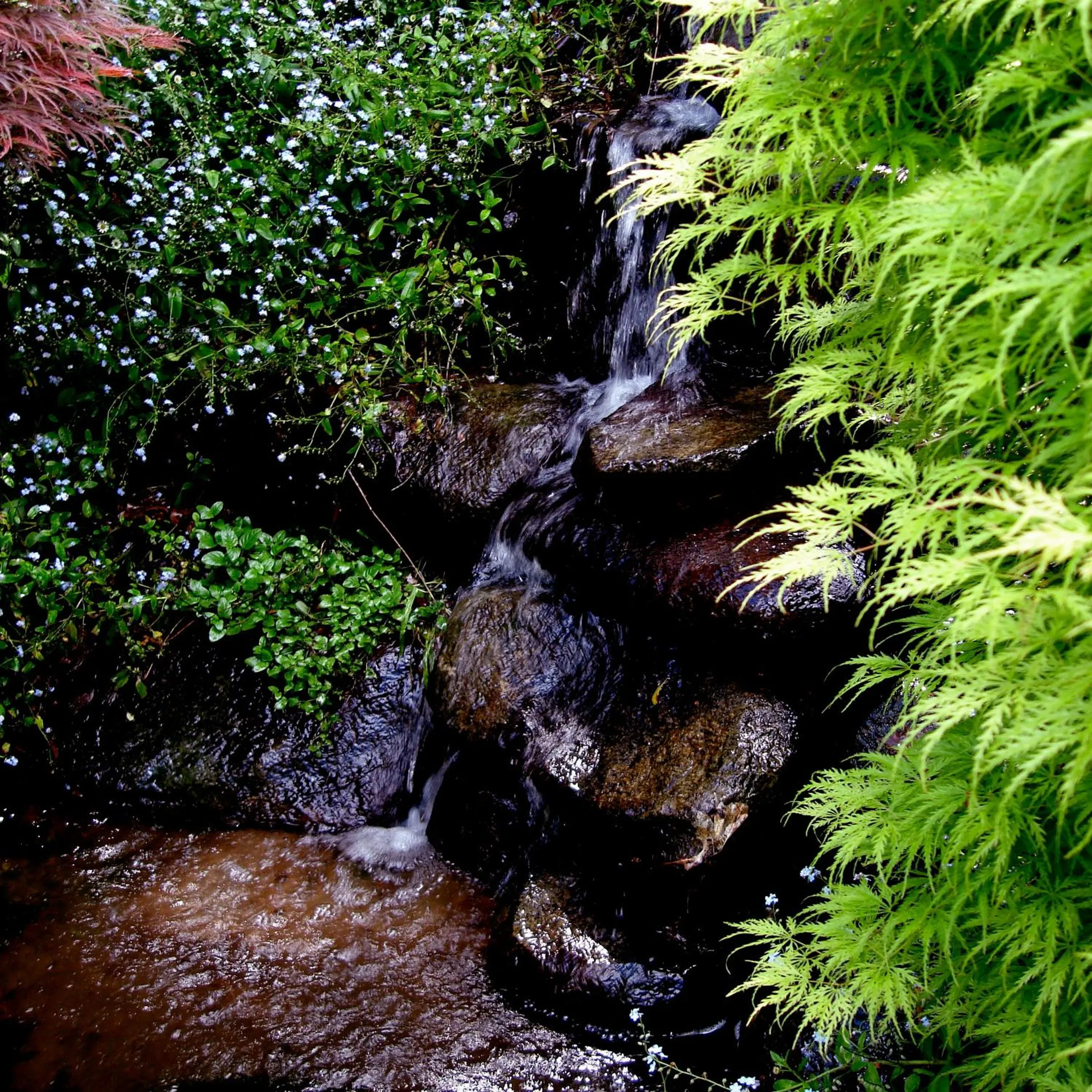 Natural landscape in Forget Me Not Cottages