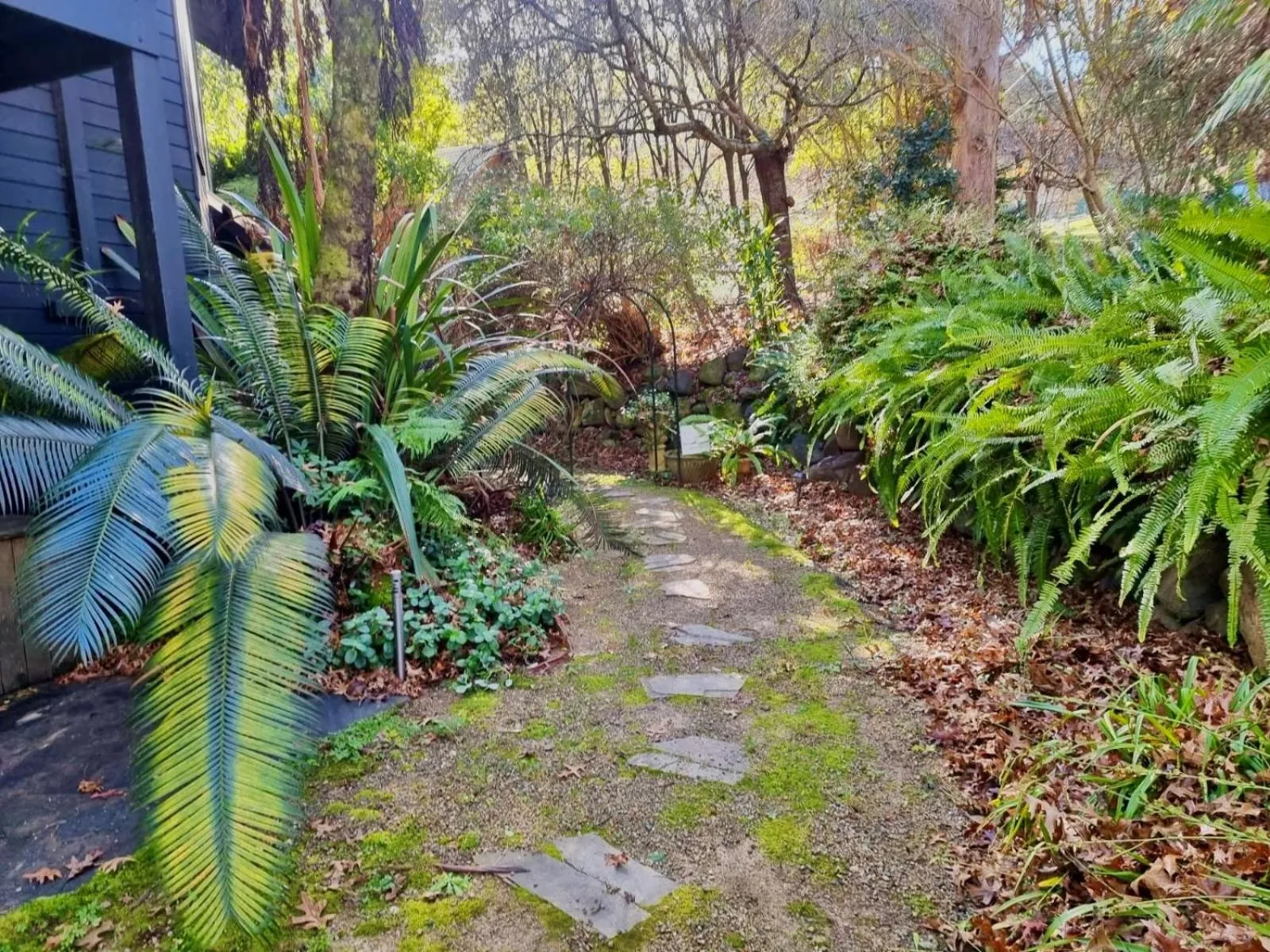 Forget Me Not Cottages