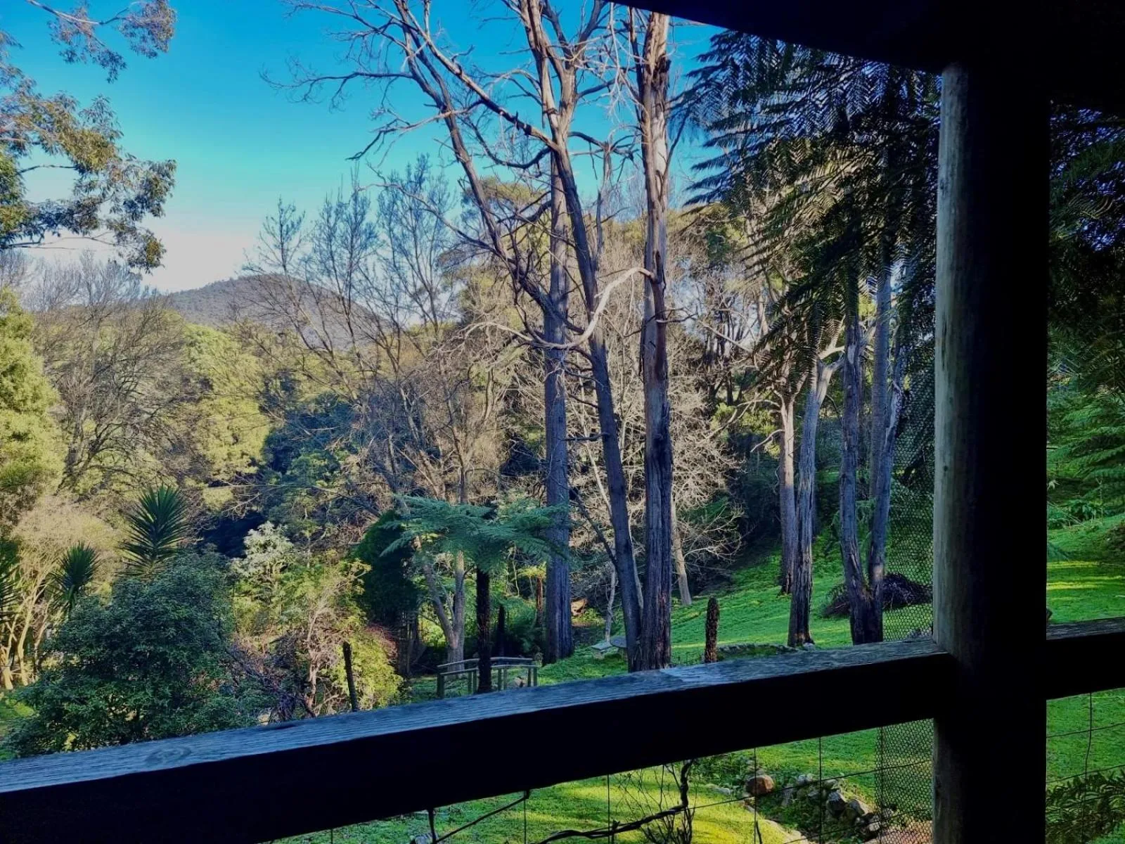 Forget Me Not Cottages