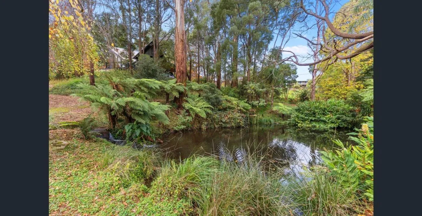 Natural landscape in Forget Me Not Cottages