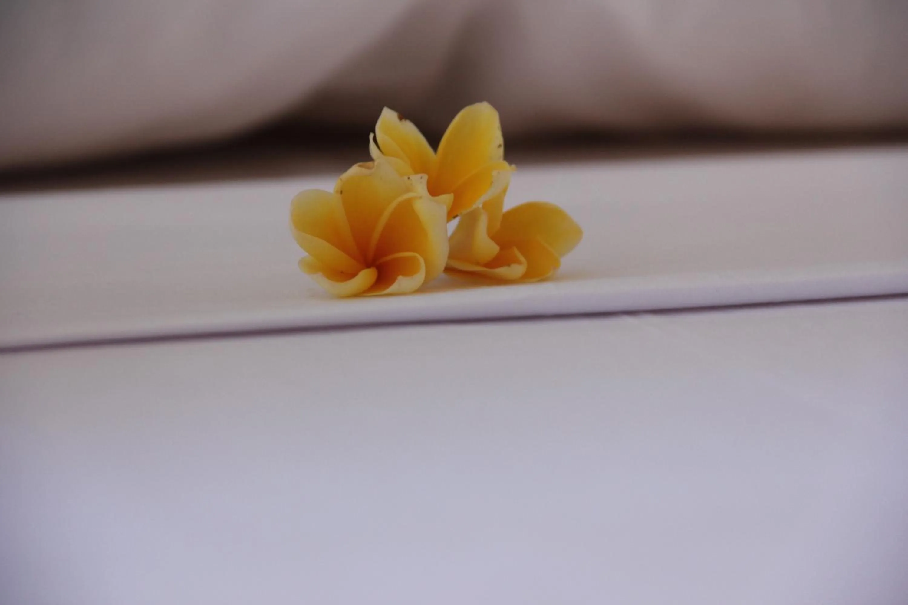 Bed in The Calmtree Bungalows