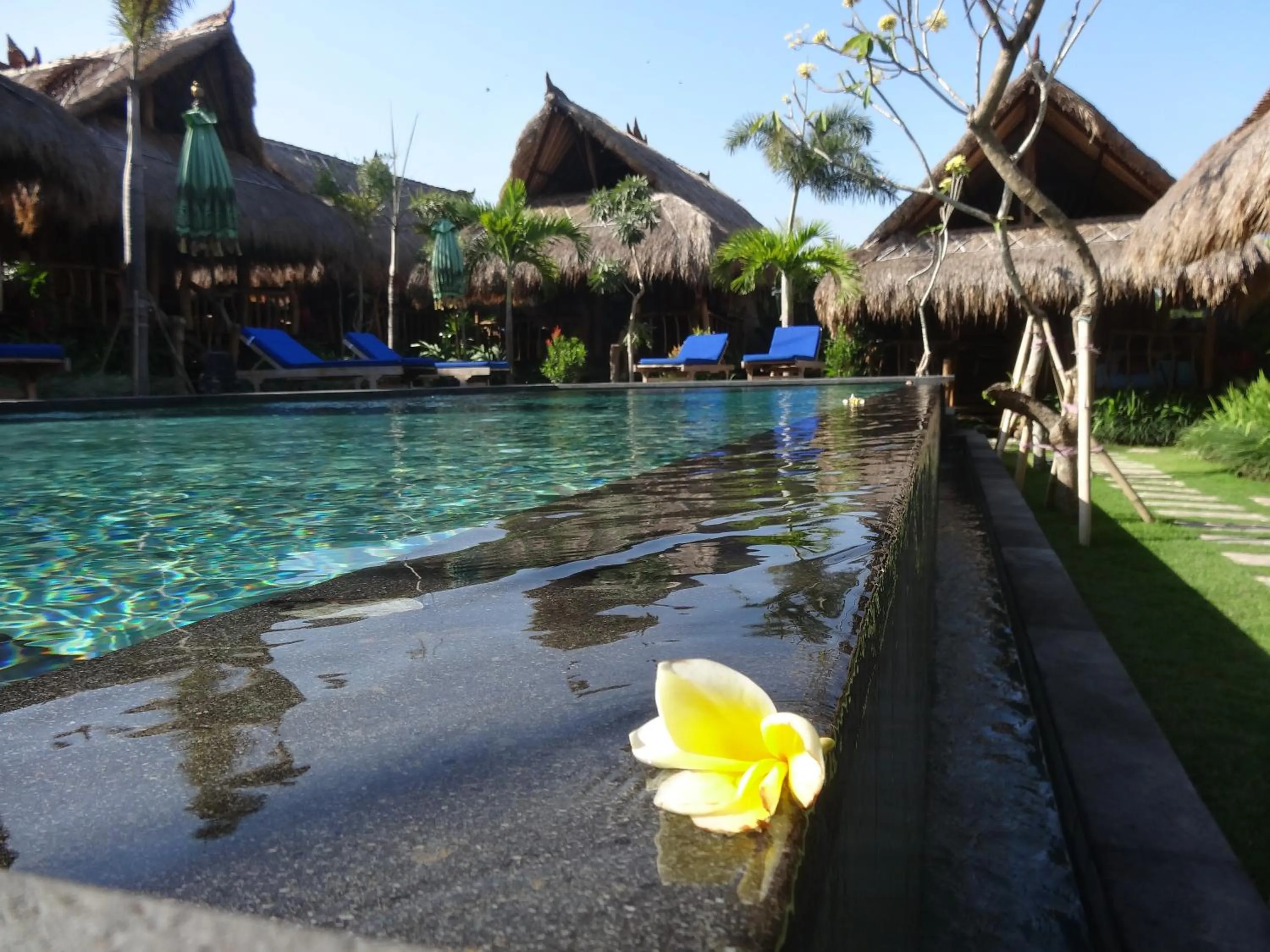 Swimming pool in The Calmtree Bungalows