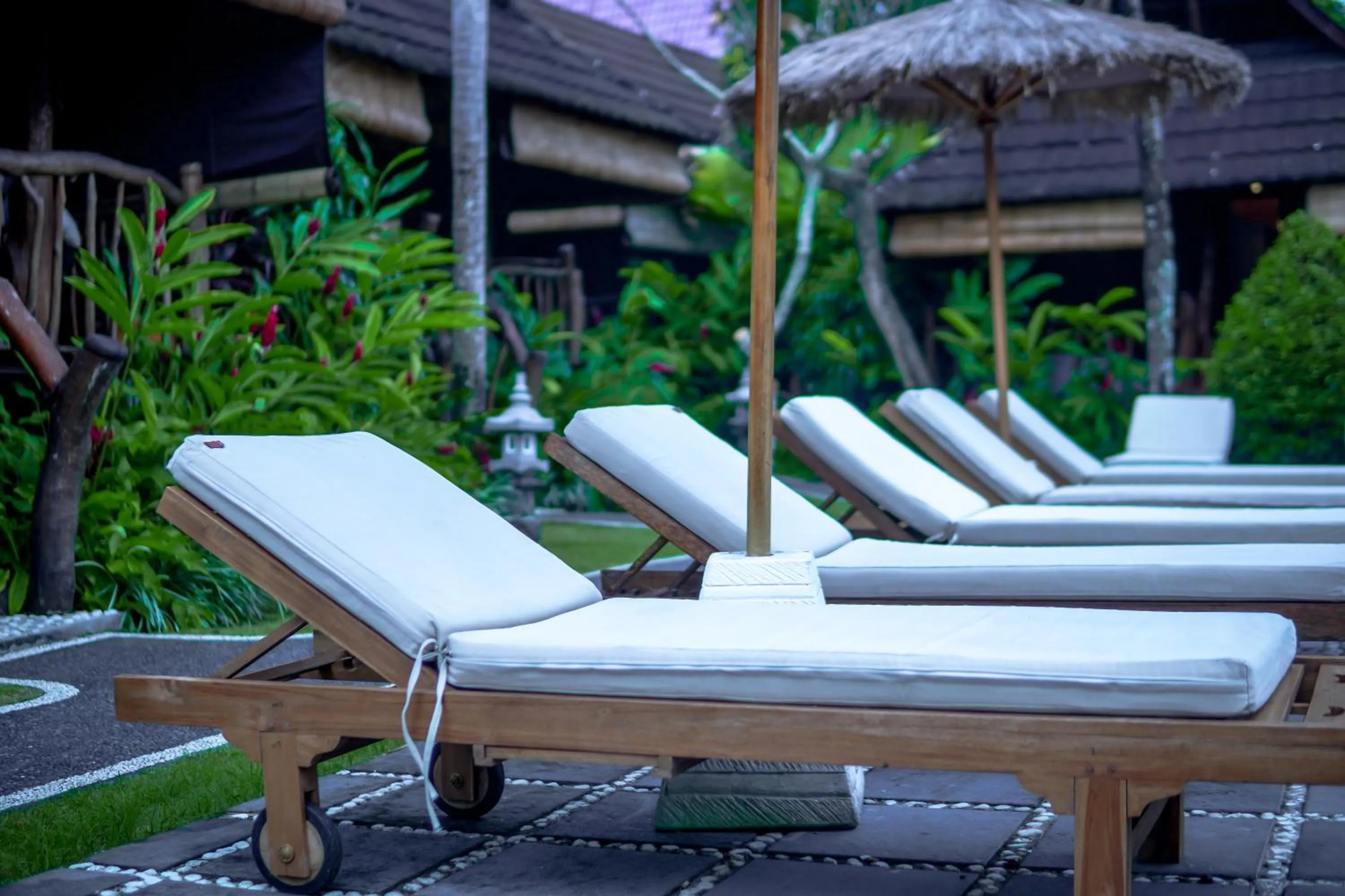 Garden view in The Calmtree Bungalows