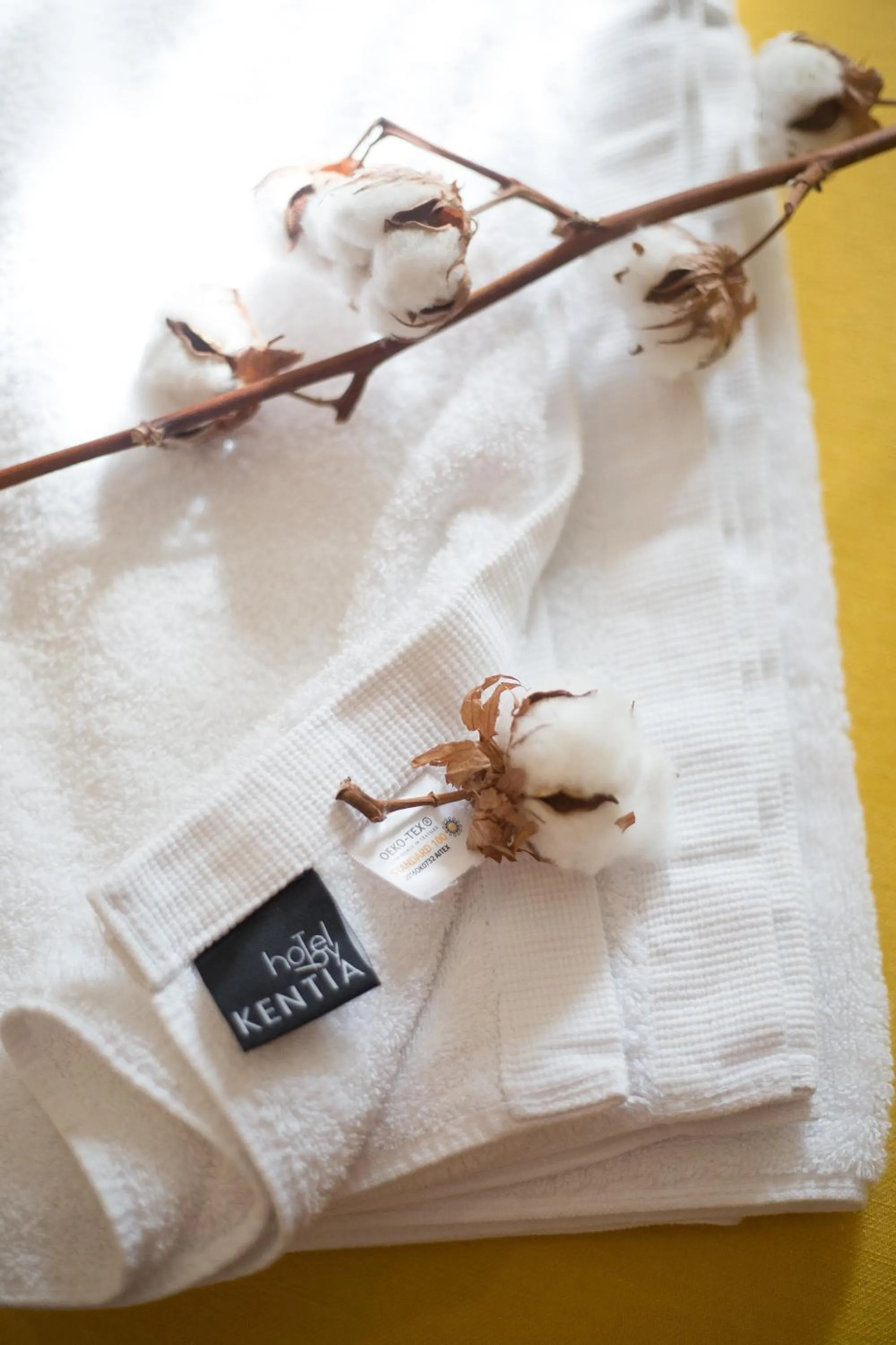 Logo/Certificate/Sign in Artree Suites