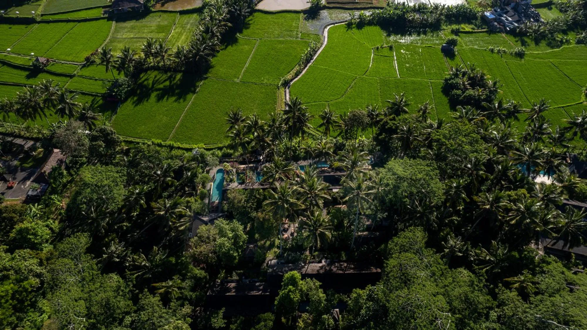View (from property/room) in Ubud Padi Villas