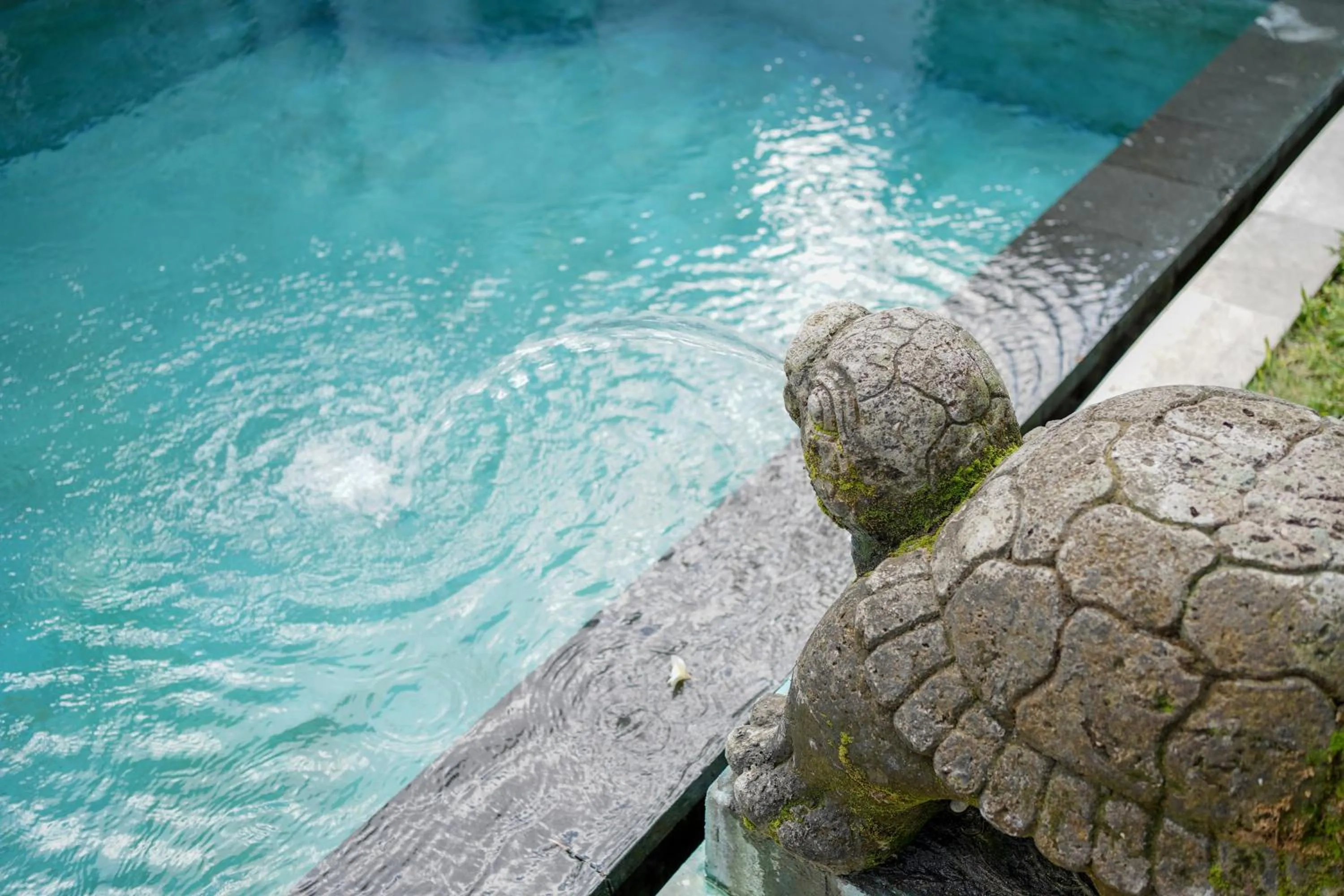 Swimming pool in New Pondok Sara Villas