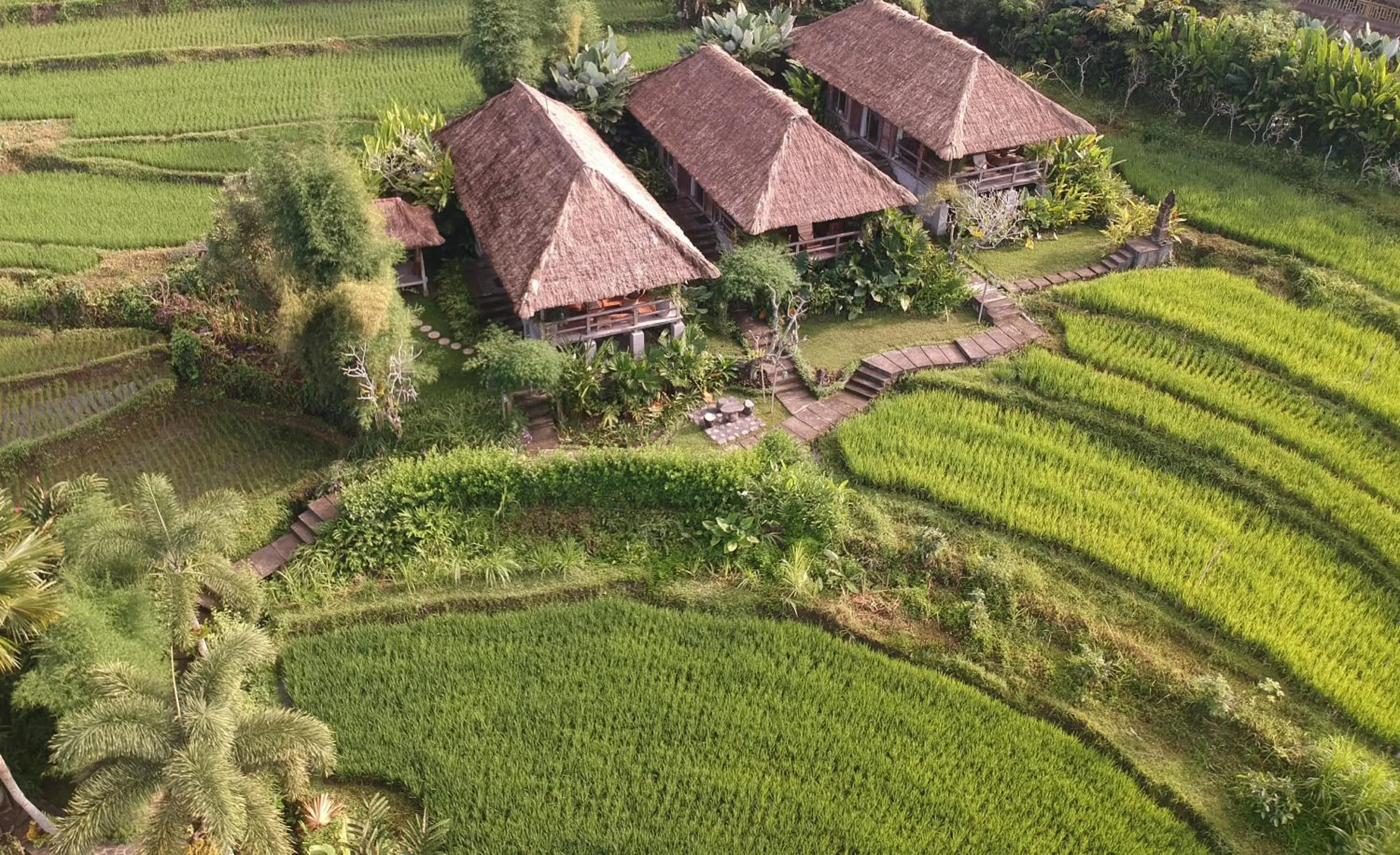 Garden view in Sawah Indah Villa
